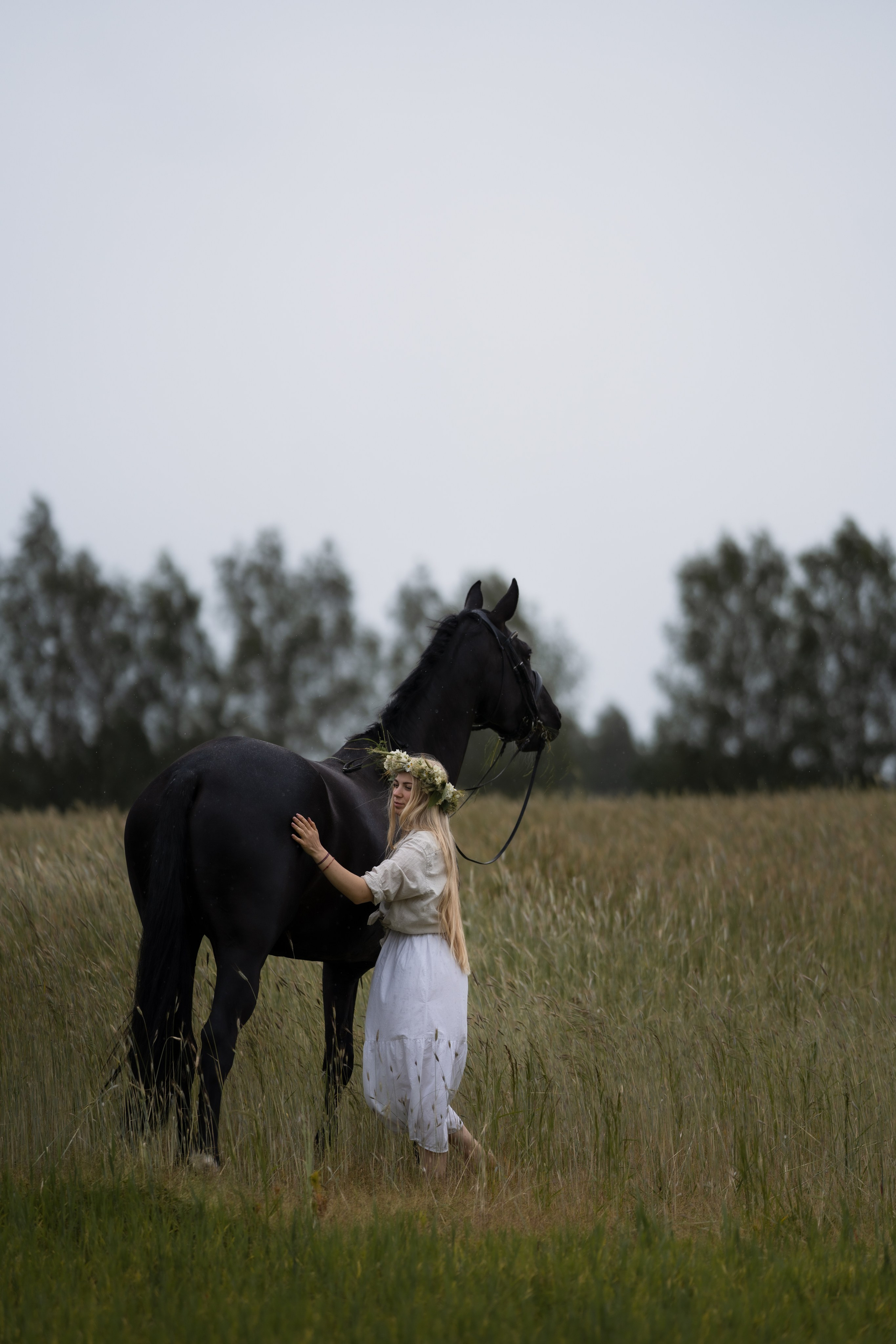 Equestrian art. Sports and portrait photographer in Riga