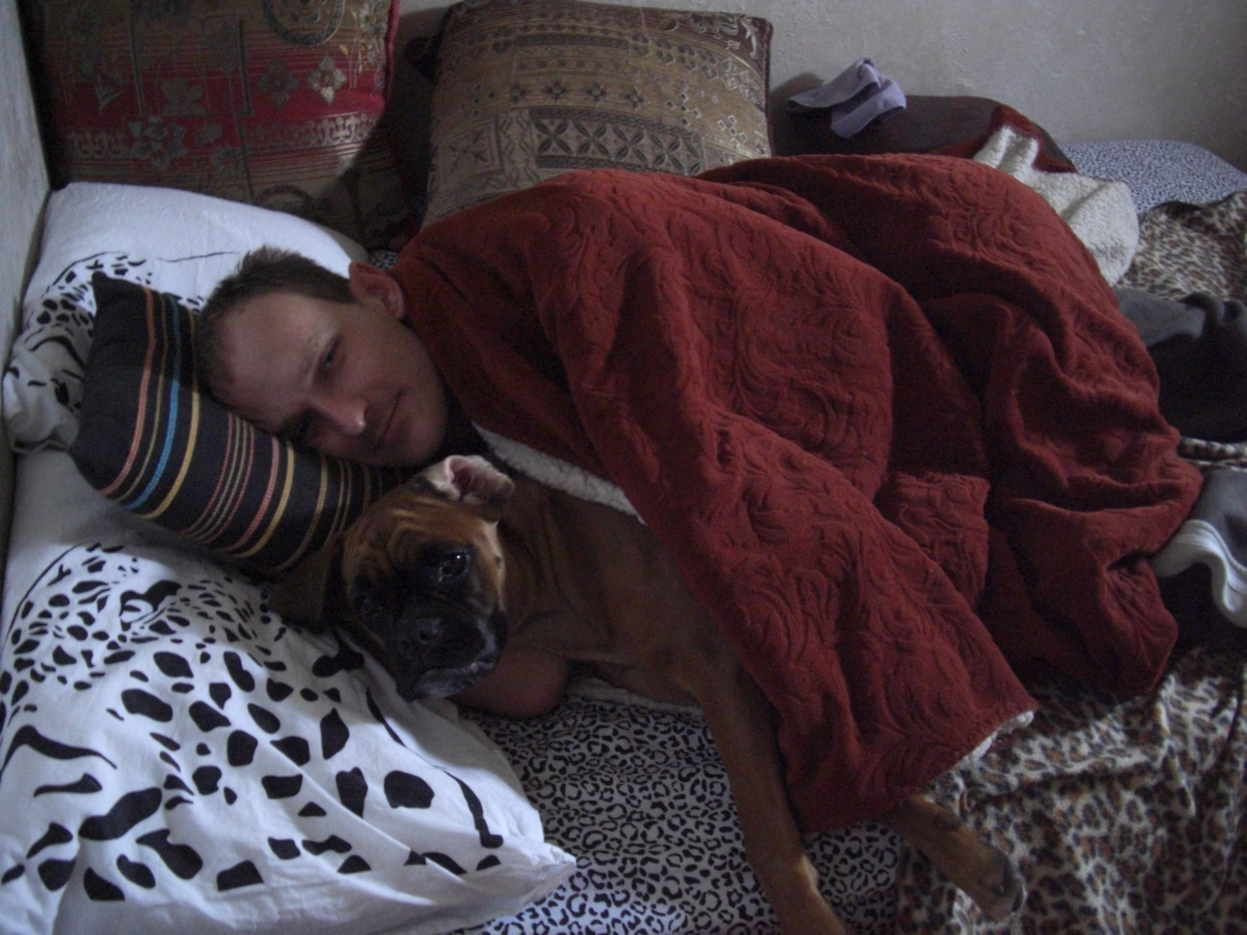 My ״Star״ Boxer Dog