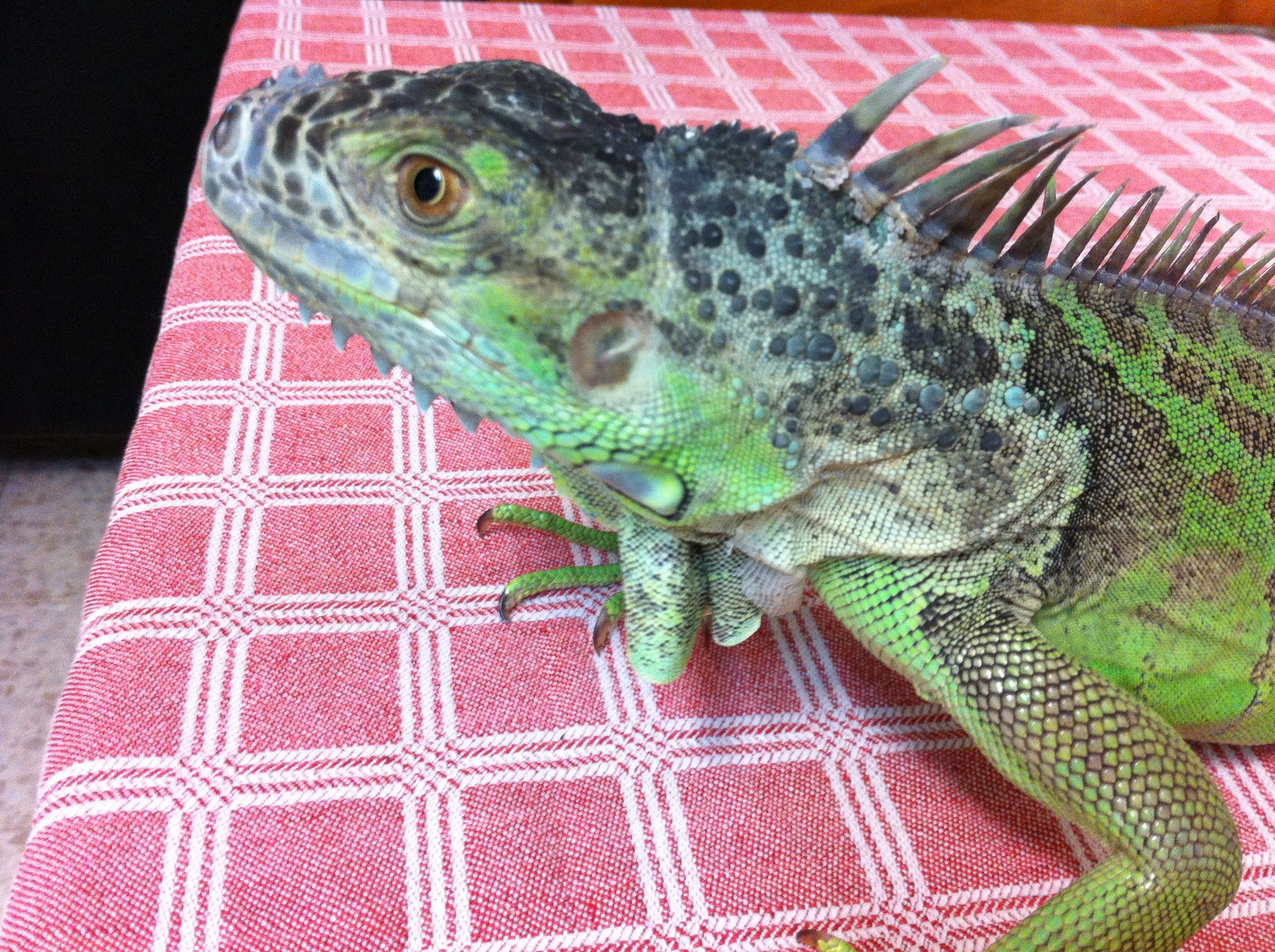 Everything from everything