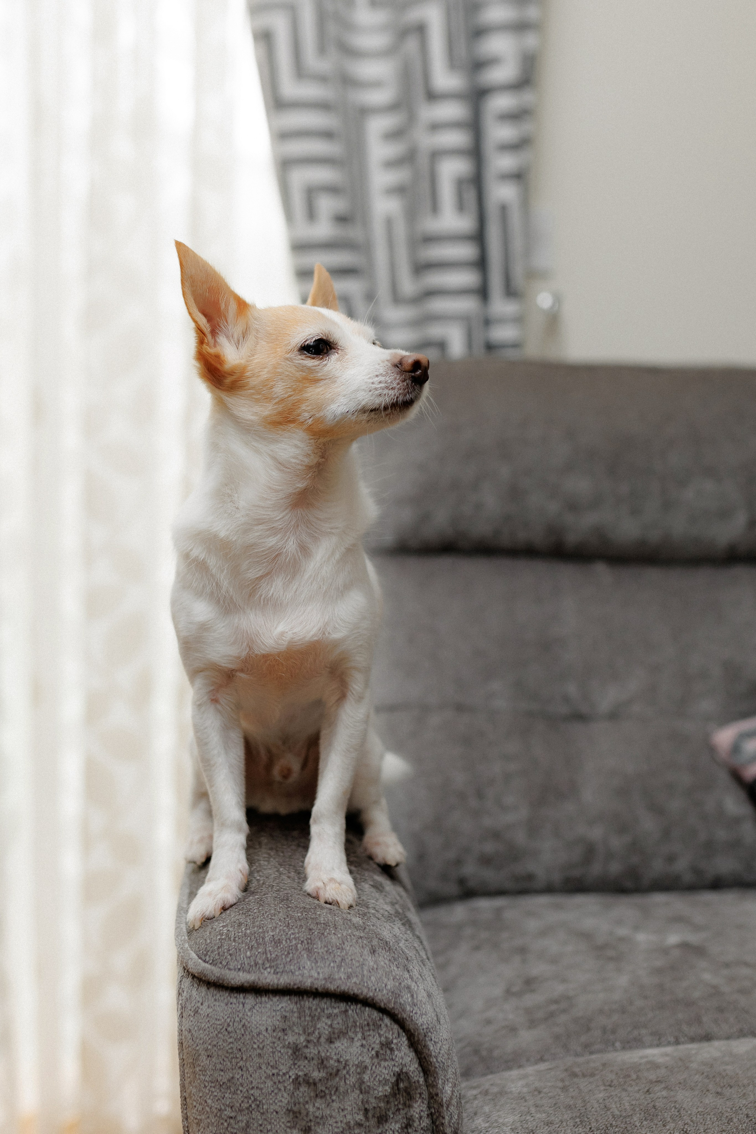 Sean & Gohar. Photographer in Dublin, Pavel