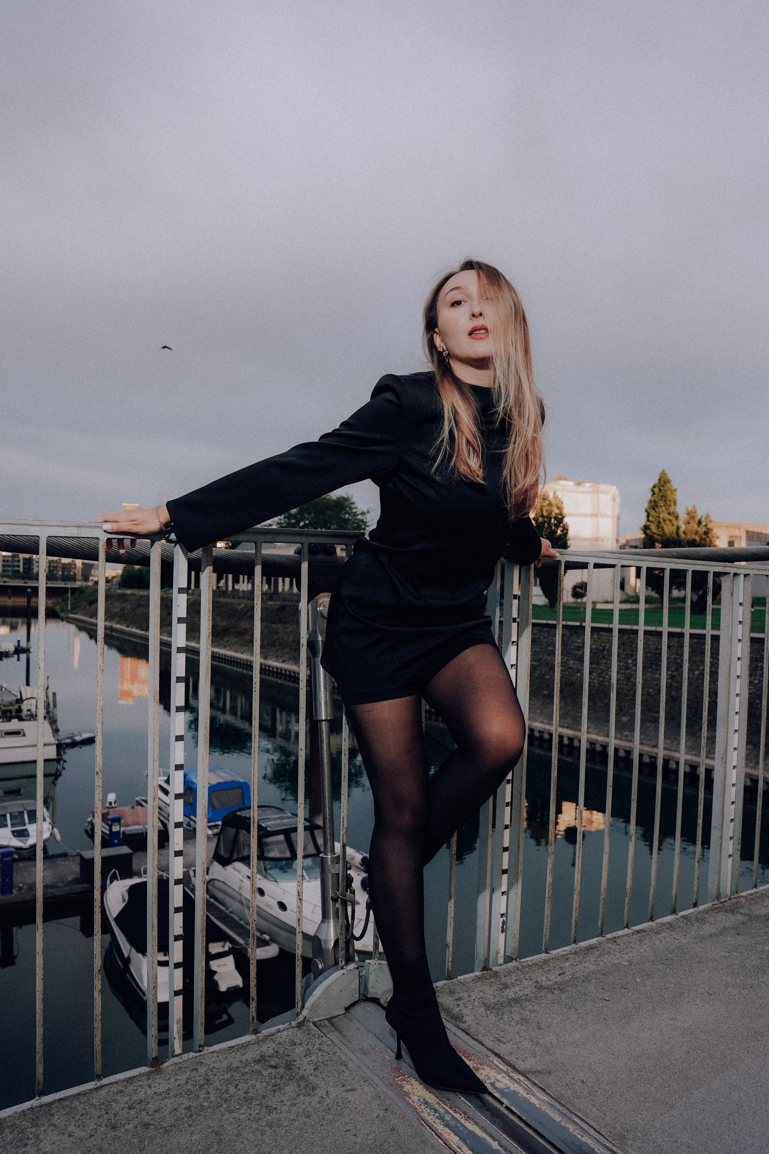 Duisburg schwarzer Schwan. Photograf NRW