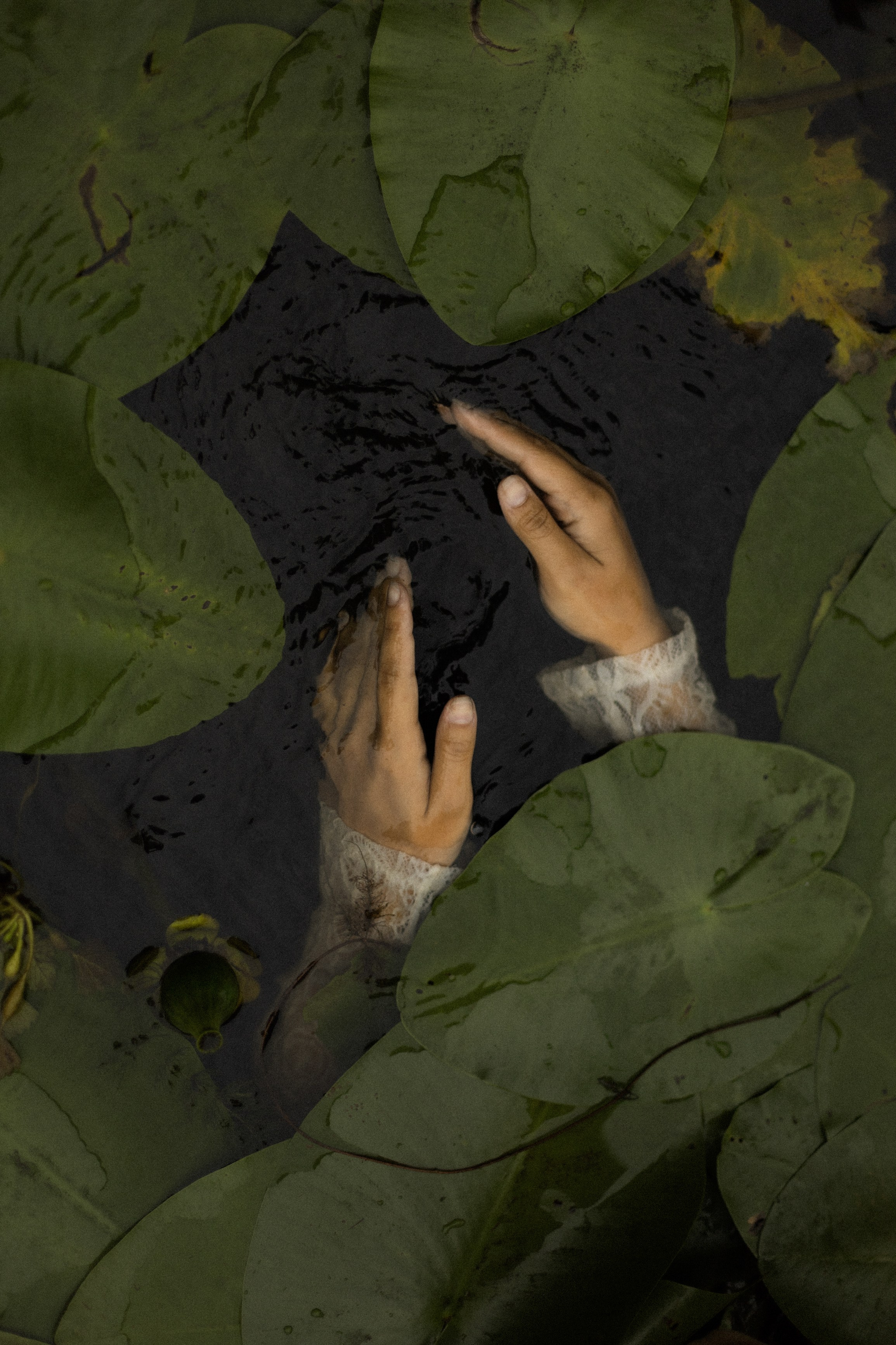 Індивідуальна. Price