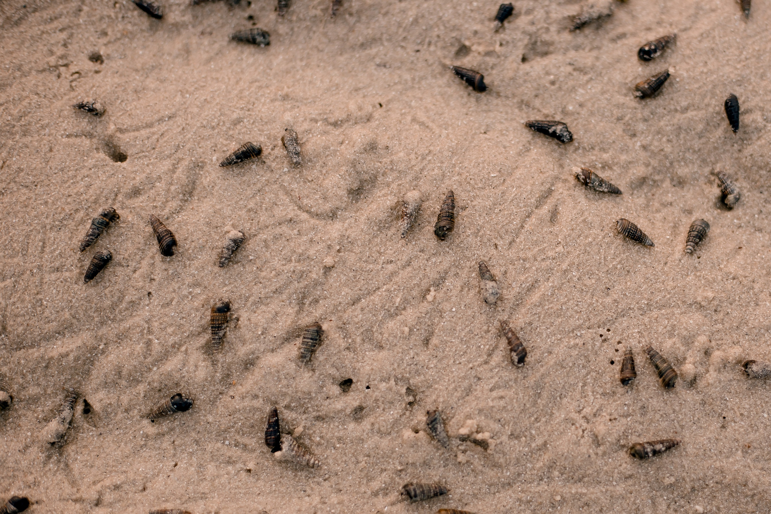 Thailand 2023, Samui. Art Photographer