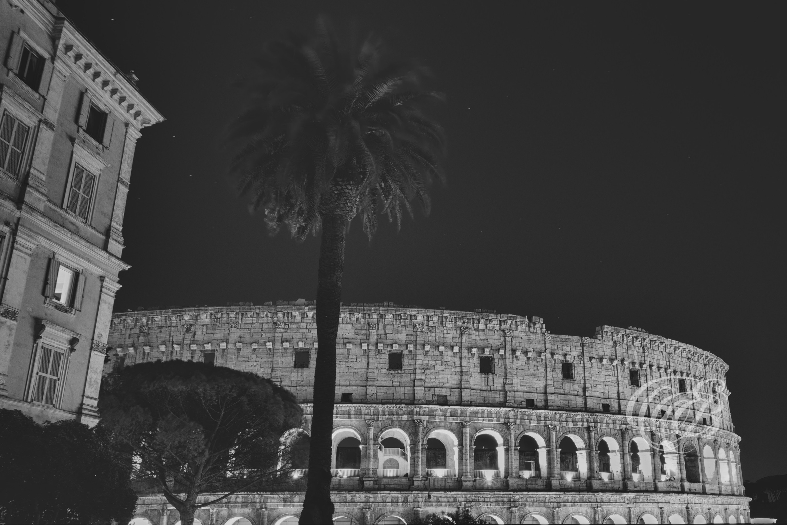 Rome Italy - Monte Oppio Garden - Eduardo Bartoli Fine Art Photography - Black and white matte fine art photograph of the Monte Oppio Garden in front of the Colosseum, Rome, Italy – photography by Eduardo Bartoli.
