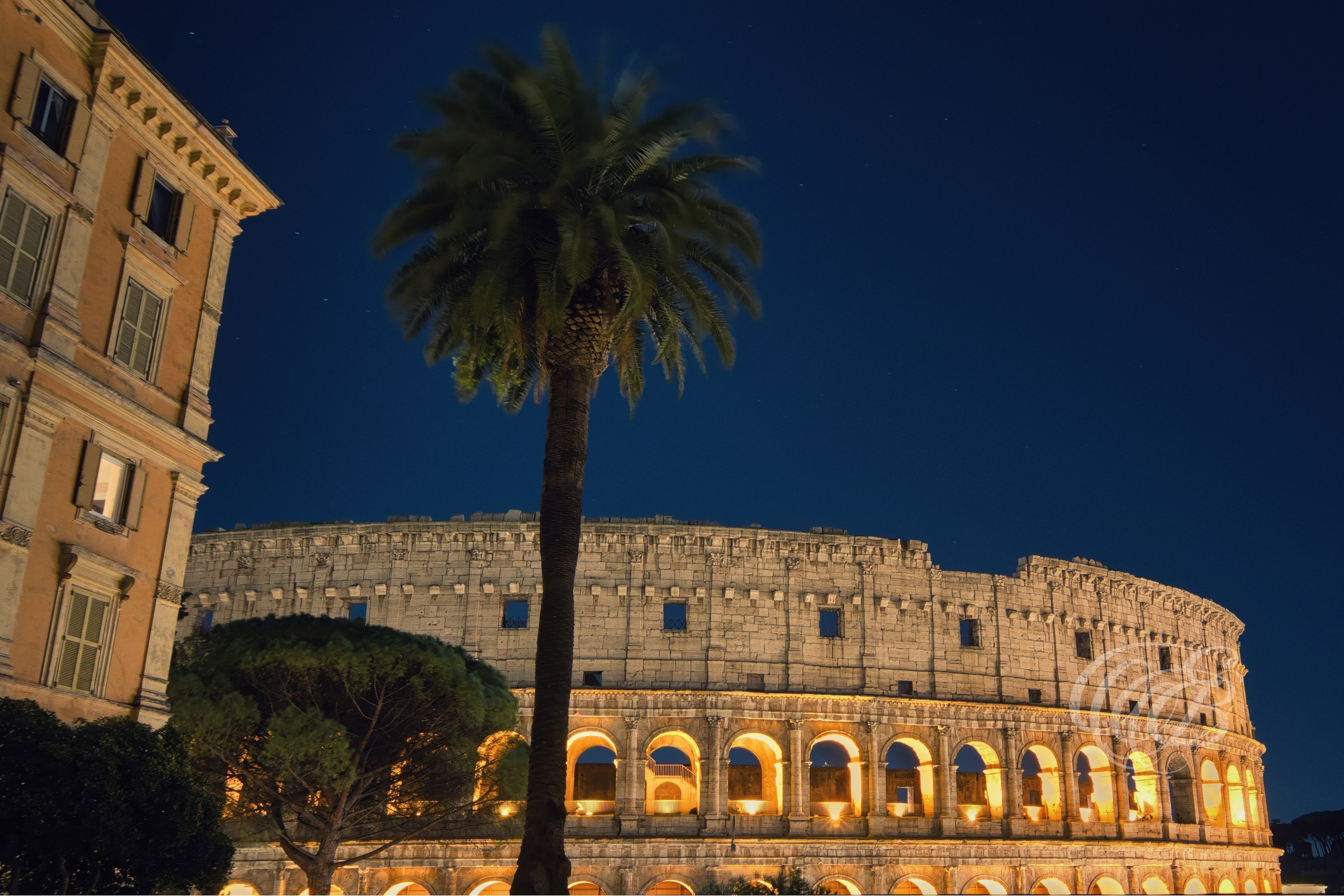 Rome Italy - Monte Oppio Garden - Eduardo Bartoli Fine Art Photography - Monte Oppio Garden at night with a palm tree in front of the Colosseum in Rome, Italy – fine art photography by Eduardo Bartoli.