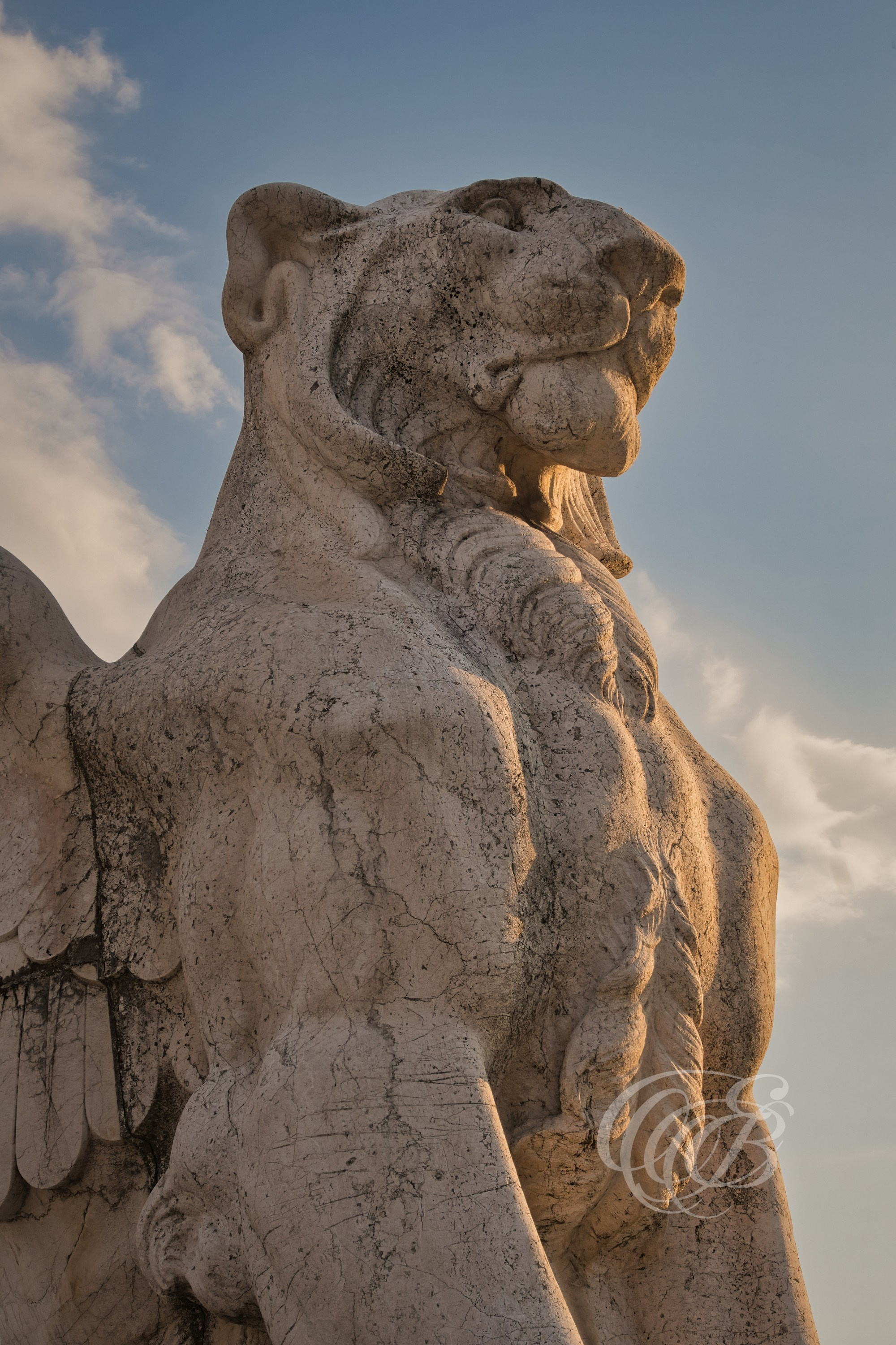 Rome, Italy — Vittoriano winged lion sculpture — Eduardo Bartoli Fine Art Photography — Photograph of the winged lion architectural detail on the Vittoriano monument in Rome, Italy — photography by Eduardo Bartoli.