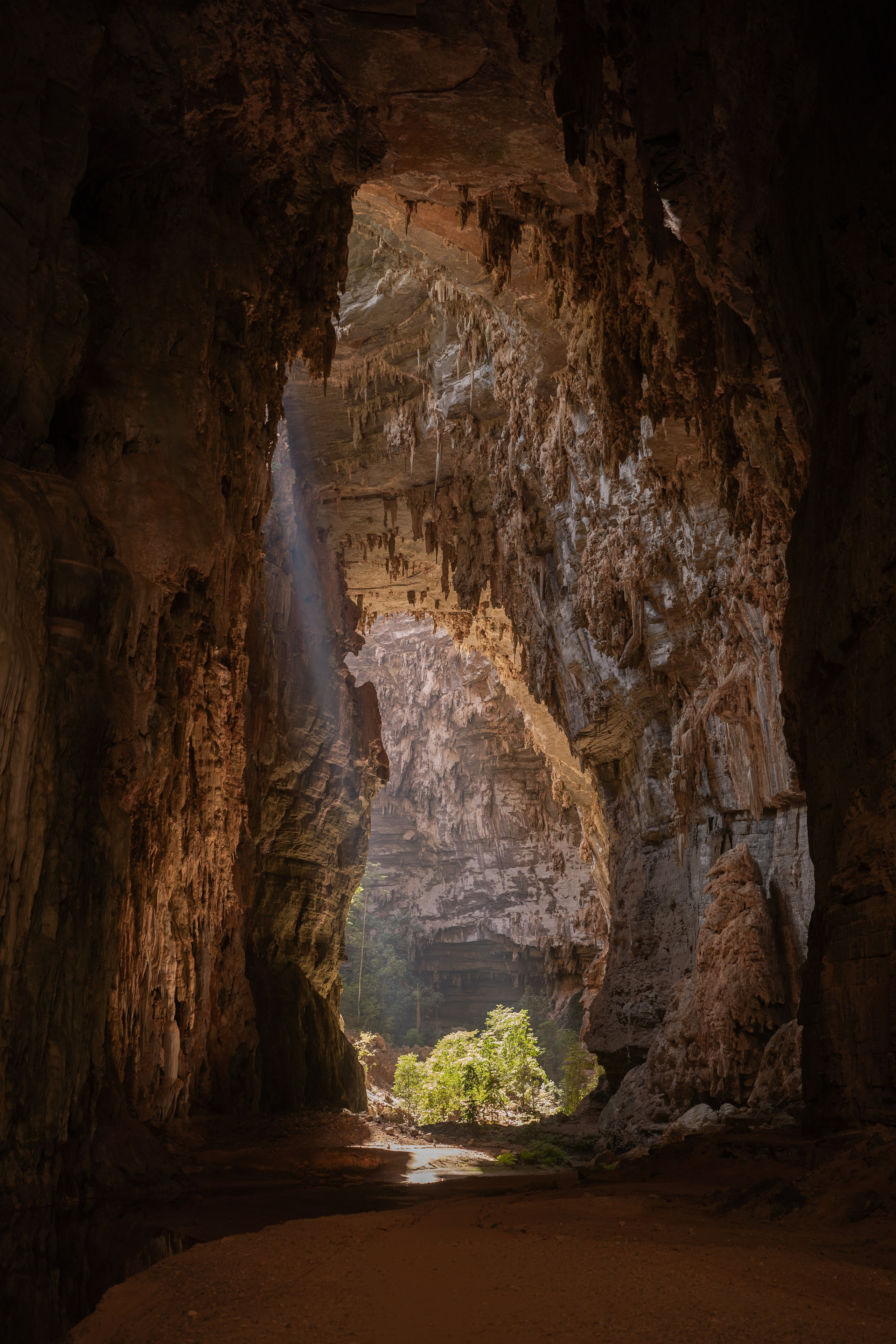 Aleatórias. Ryan Farias — Fotógrafo