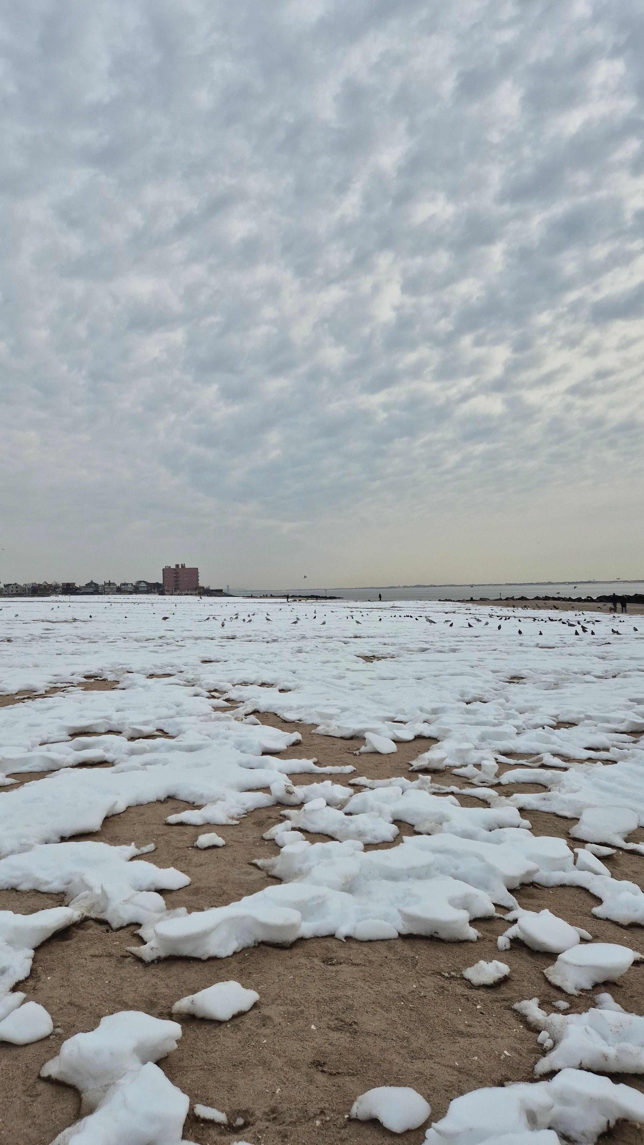 New York 2026. Photographer Marina, city of Nuremberg