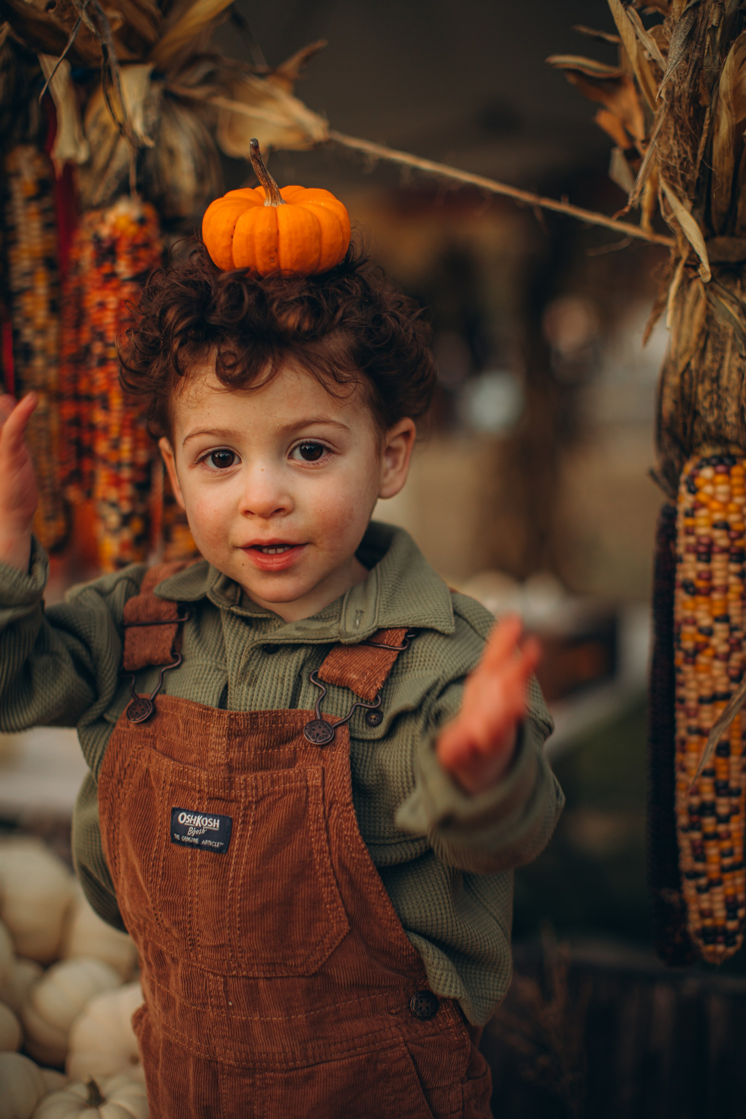 Victoria, Nick, Grayson and Noah at Harvest Moon Farm. Love Through Photo