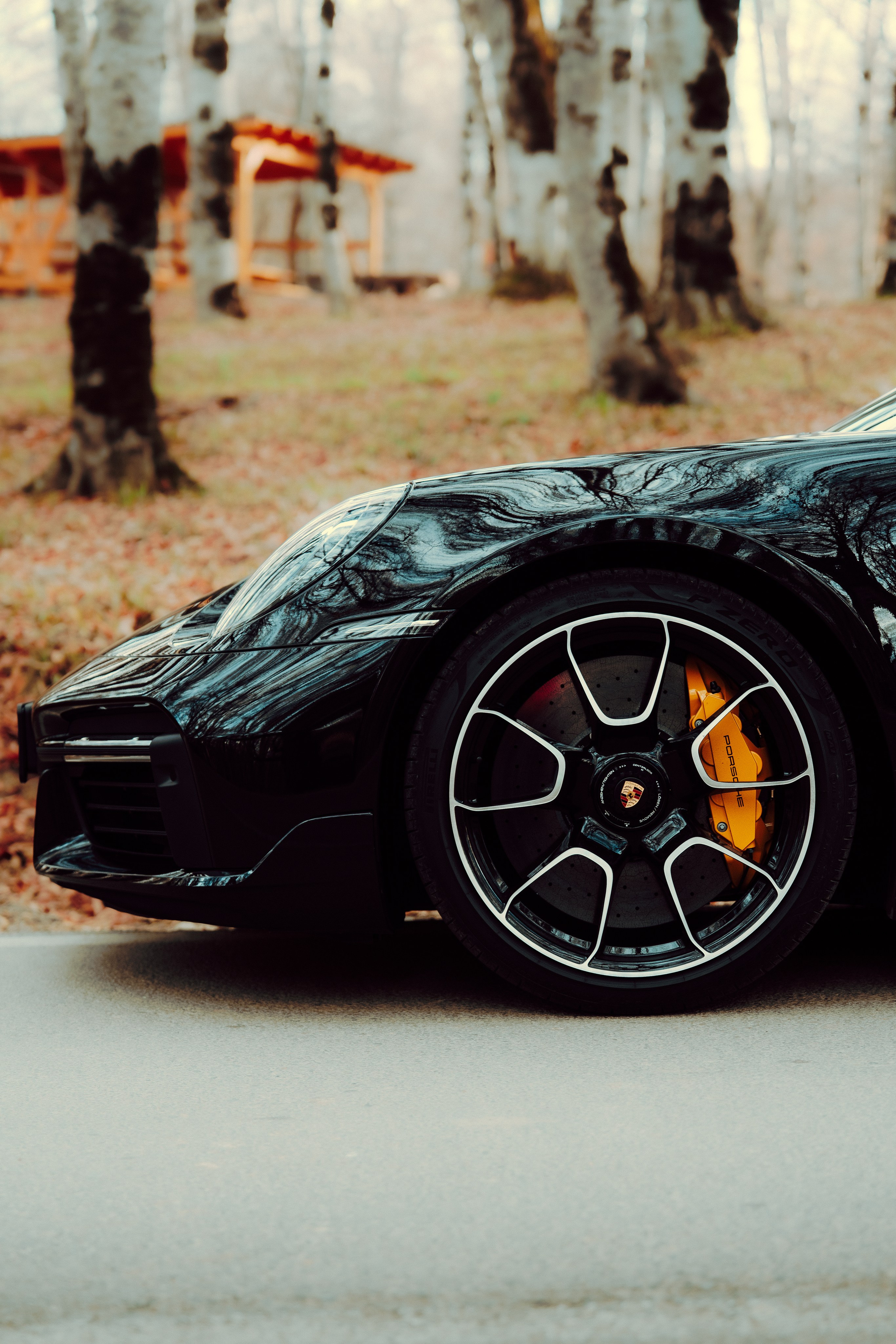 Porsche. Merabi Eminashvili