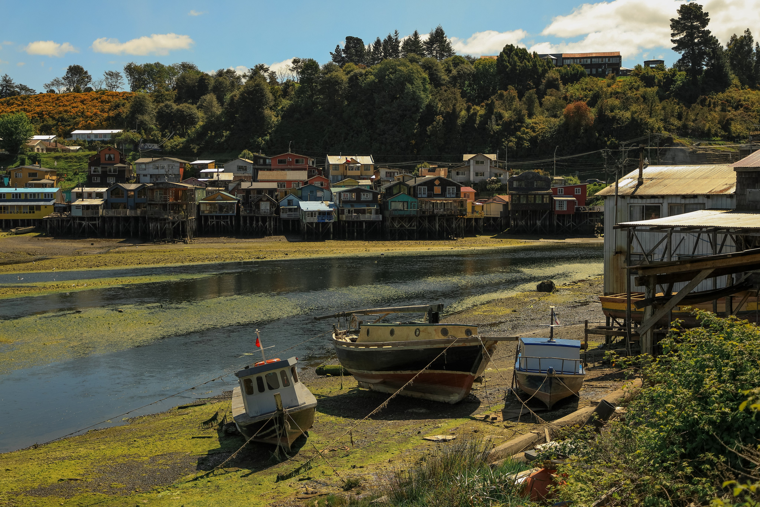 PATAGONIE. Photographe Karen Tatevosian