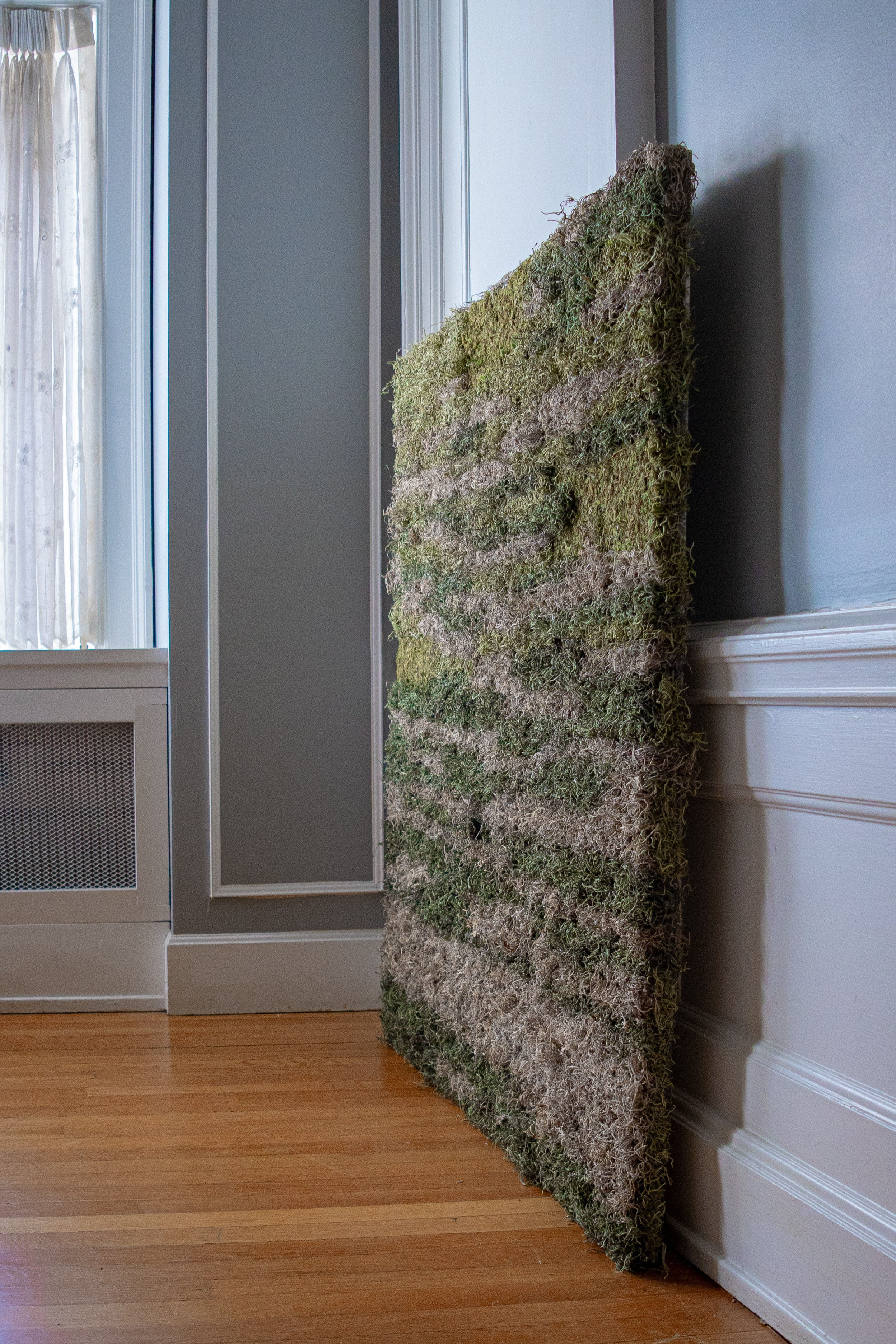 Anna & Moss magic, Content. Yana Bobrova | Artistic Photography