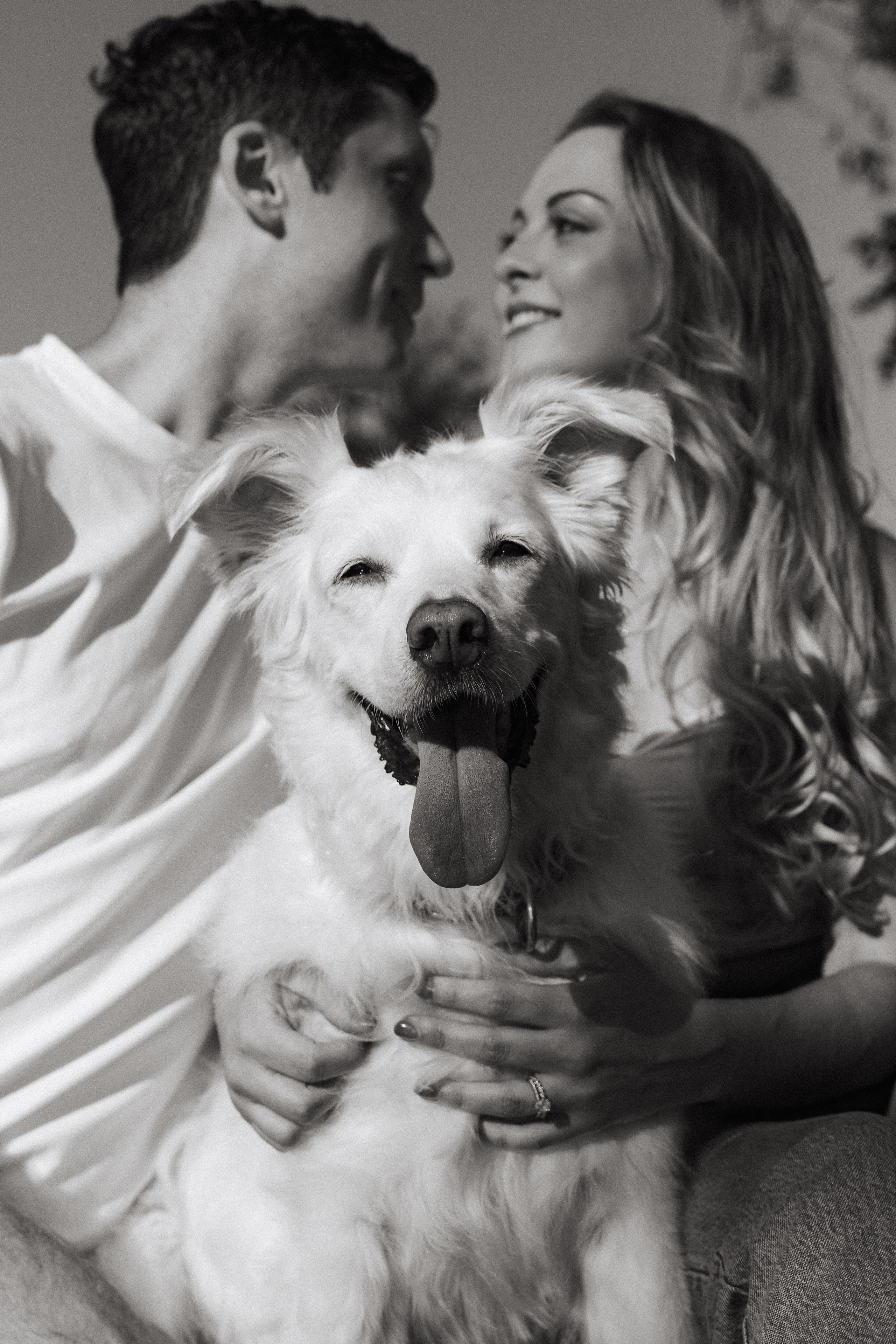 Ava. Big and loyal Love. Portrait, family, maternity & wedding photography & videography in SoCal Kseni Vibe