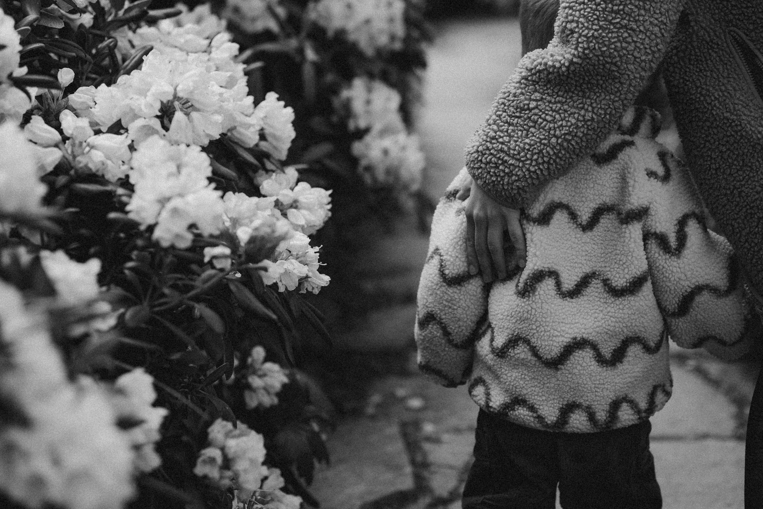 Three generations & one tail. Фотографы Минск и мир