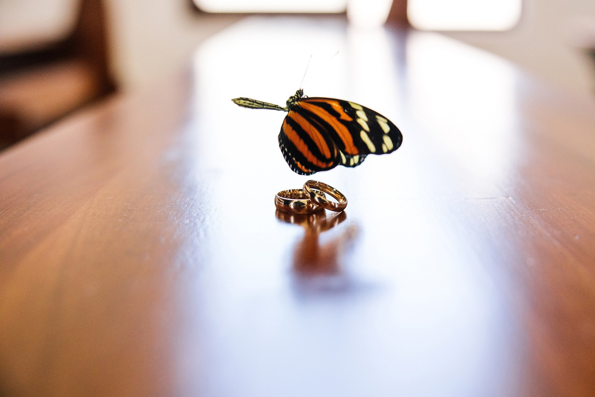 Galería Getting Ready. Jorge Romero Fotógrafo de bodas