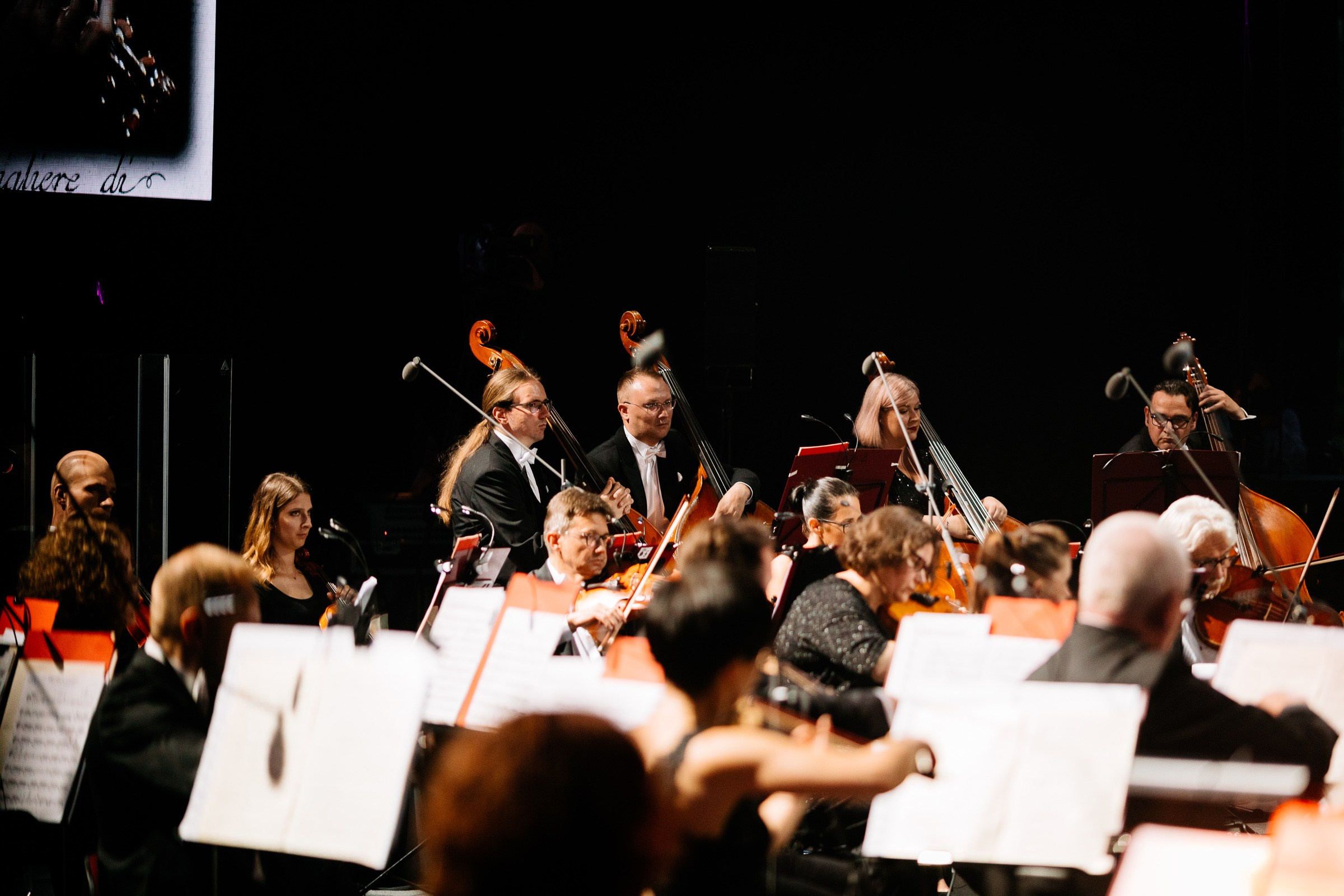 Opera Leśna Koncert. Fotograf Ślubny Warszawa - Sesje Biznesowe Rodzinne Eventy