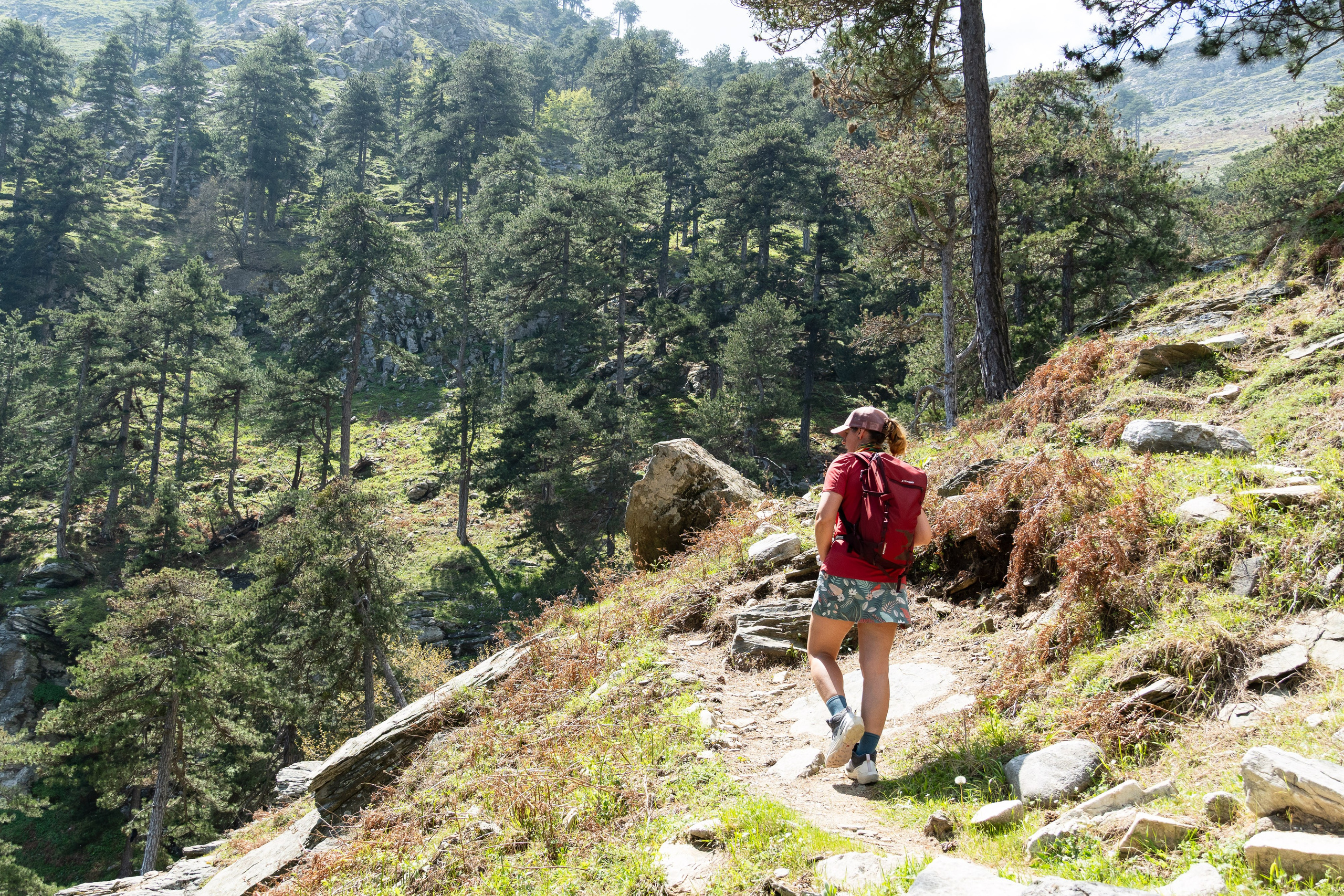 Thasos 2025. Fotografiideplacere.net
