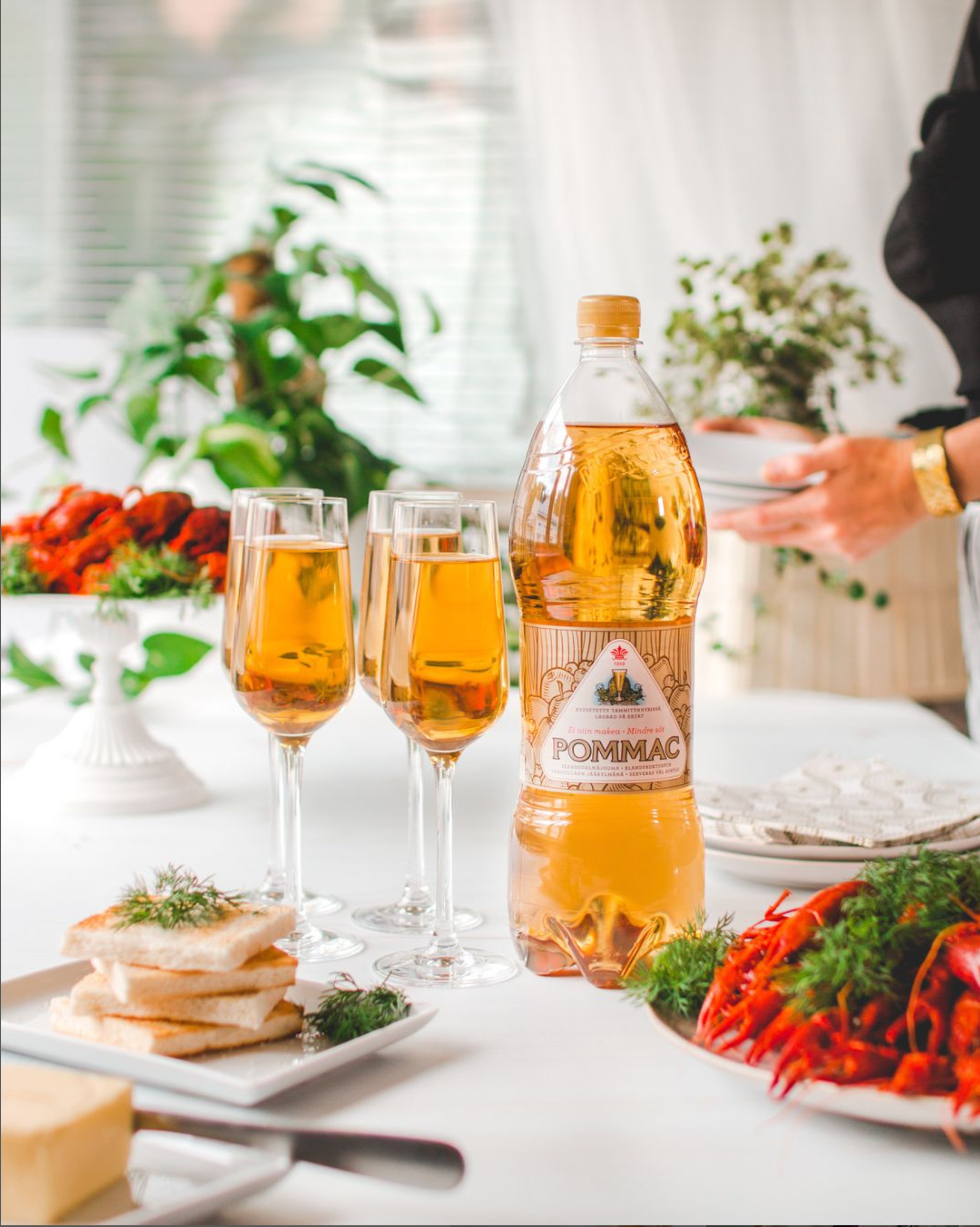 Pommac. Anna Z commercial photographer and graphic designer based in Turku