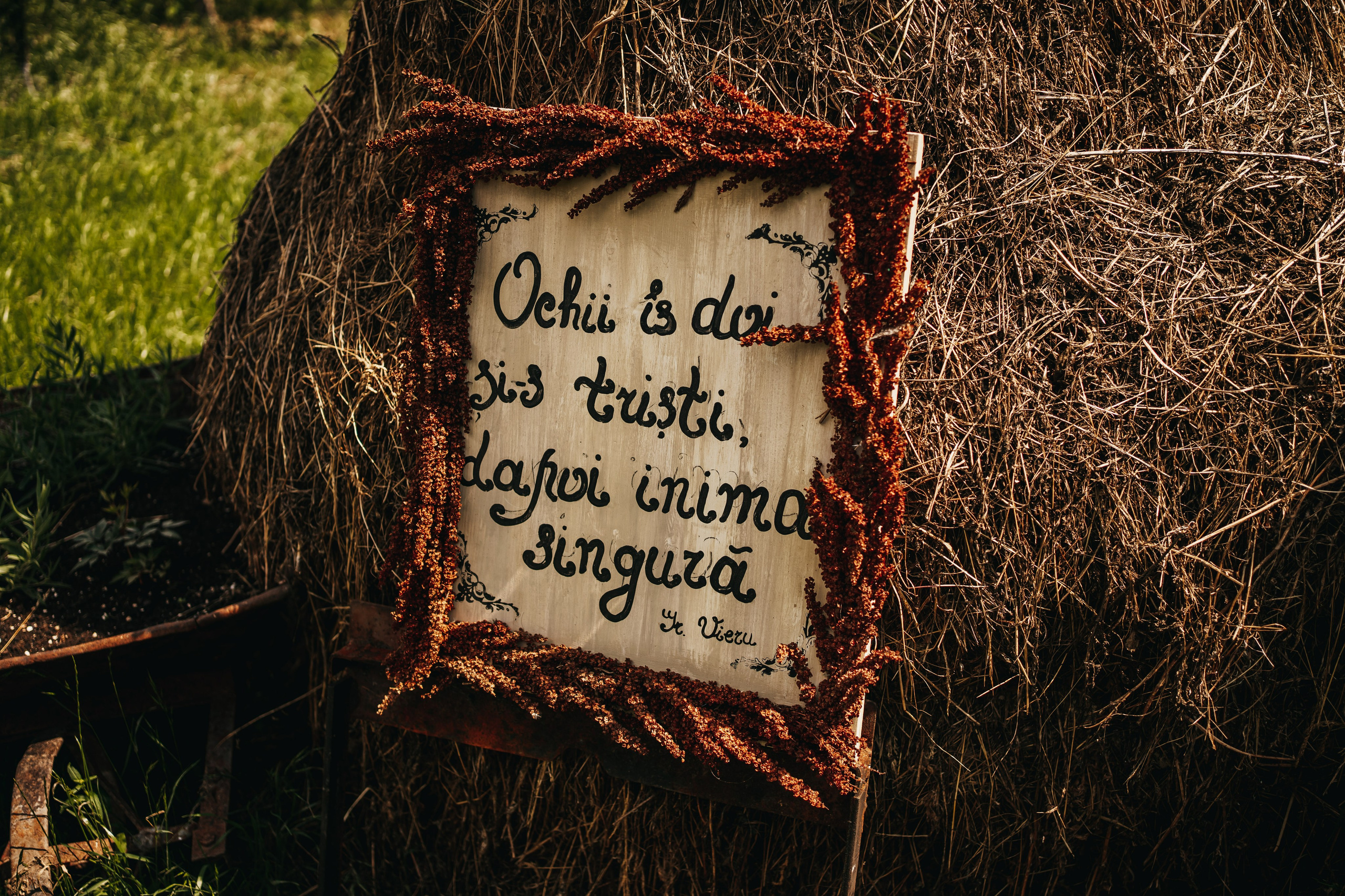 R & D. Fotograf Nunta Iasi - Hearts & Pictures