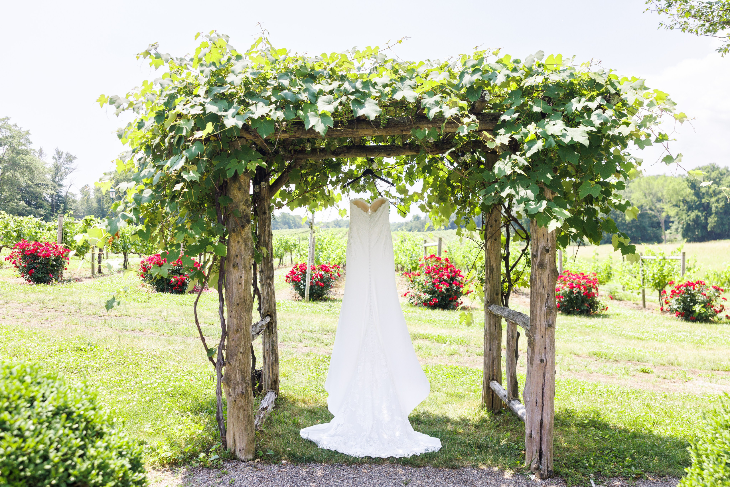 Angelica & Conor. Wedding Photo & Video