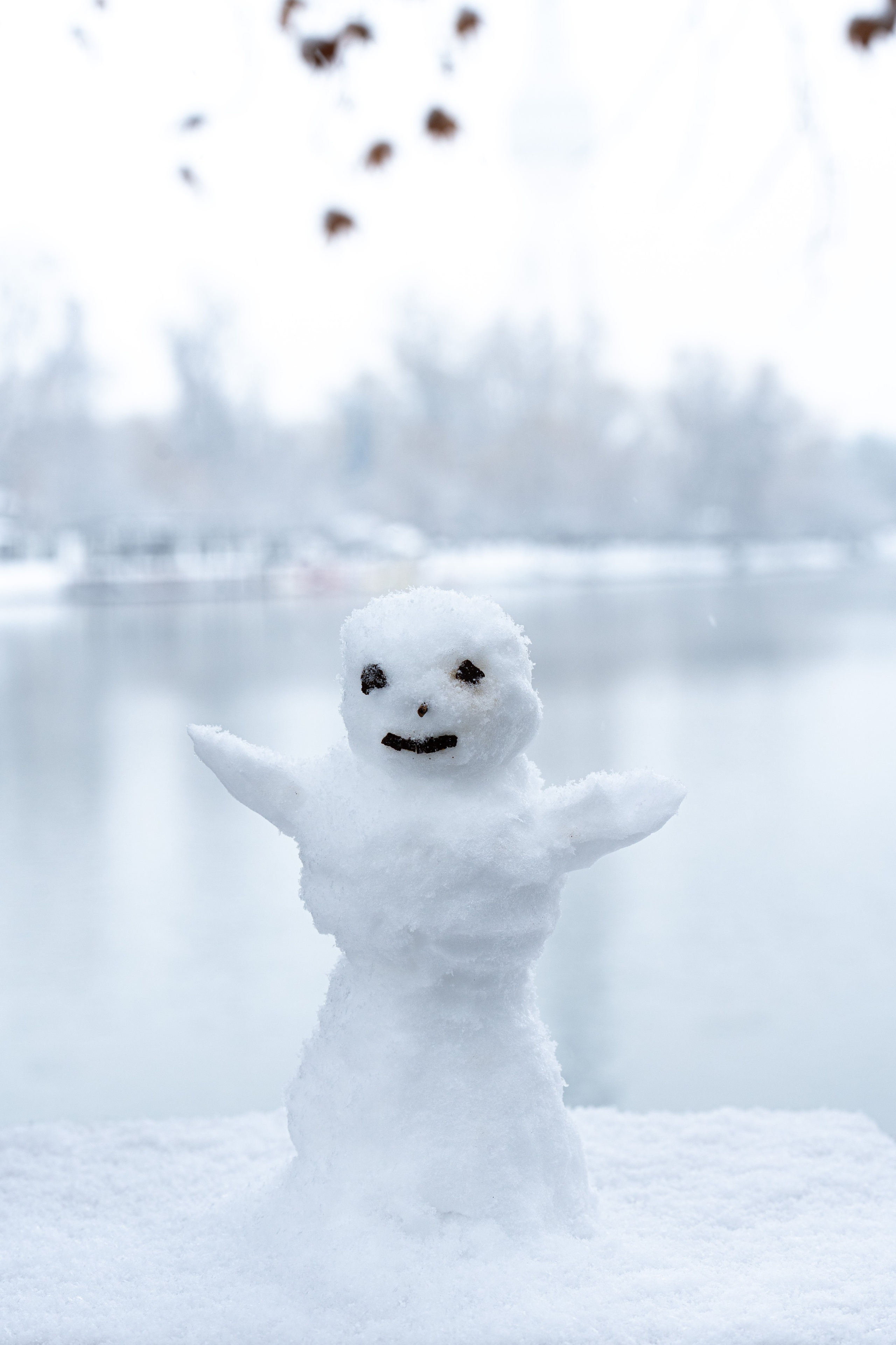 Первый снег в 2024 году. Георгий Намазов | Фотограф в Ташкенте