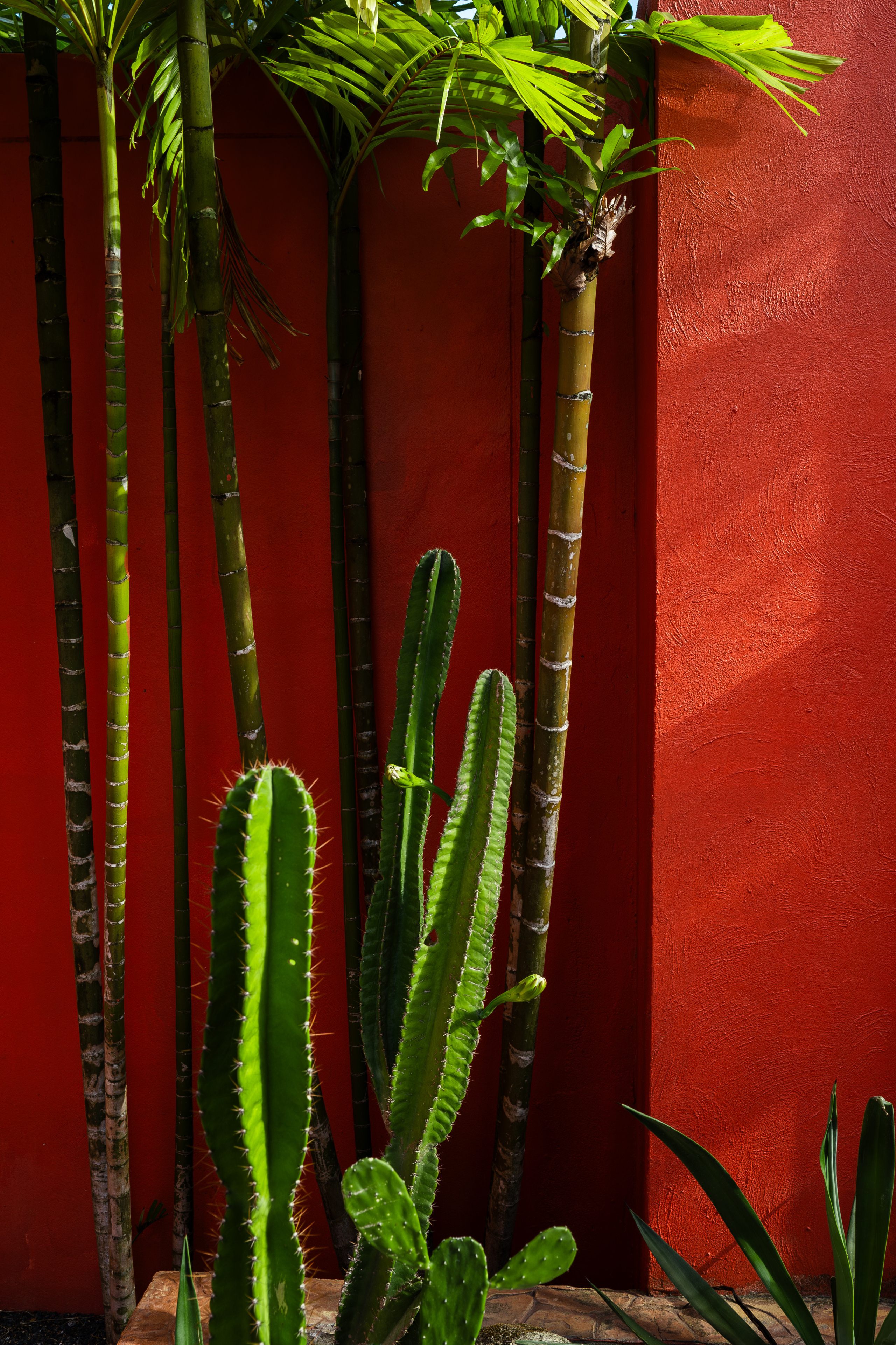 • ИНТЕРЬЕРЫ. Фотограф на Пхукете Илья PERELUDE©