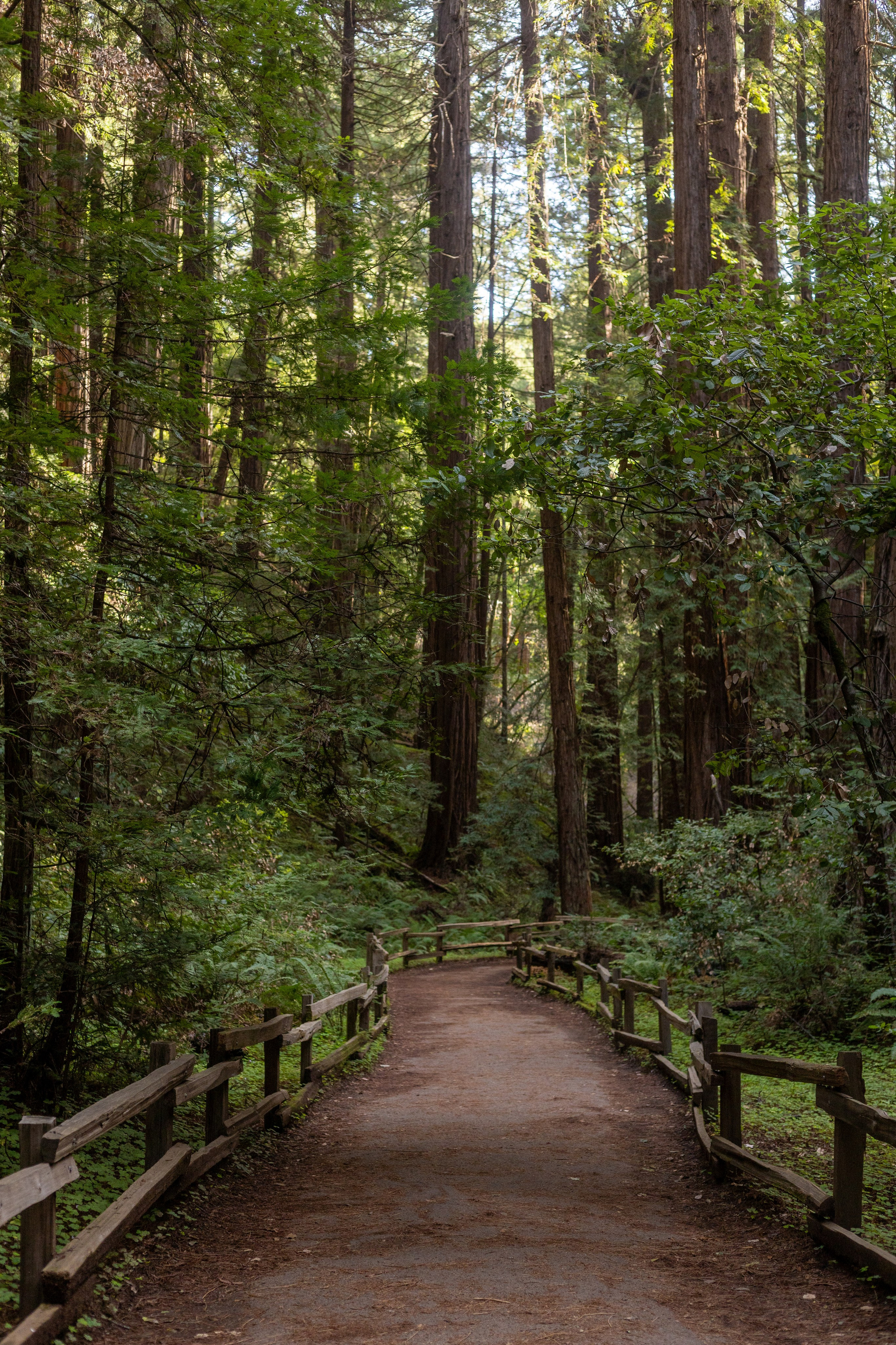 San Francisco. Aleks.photo | Book a photoshoot