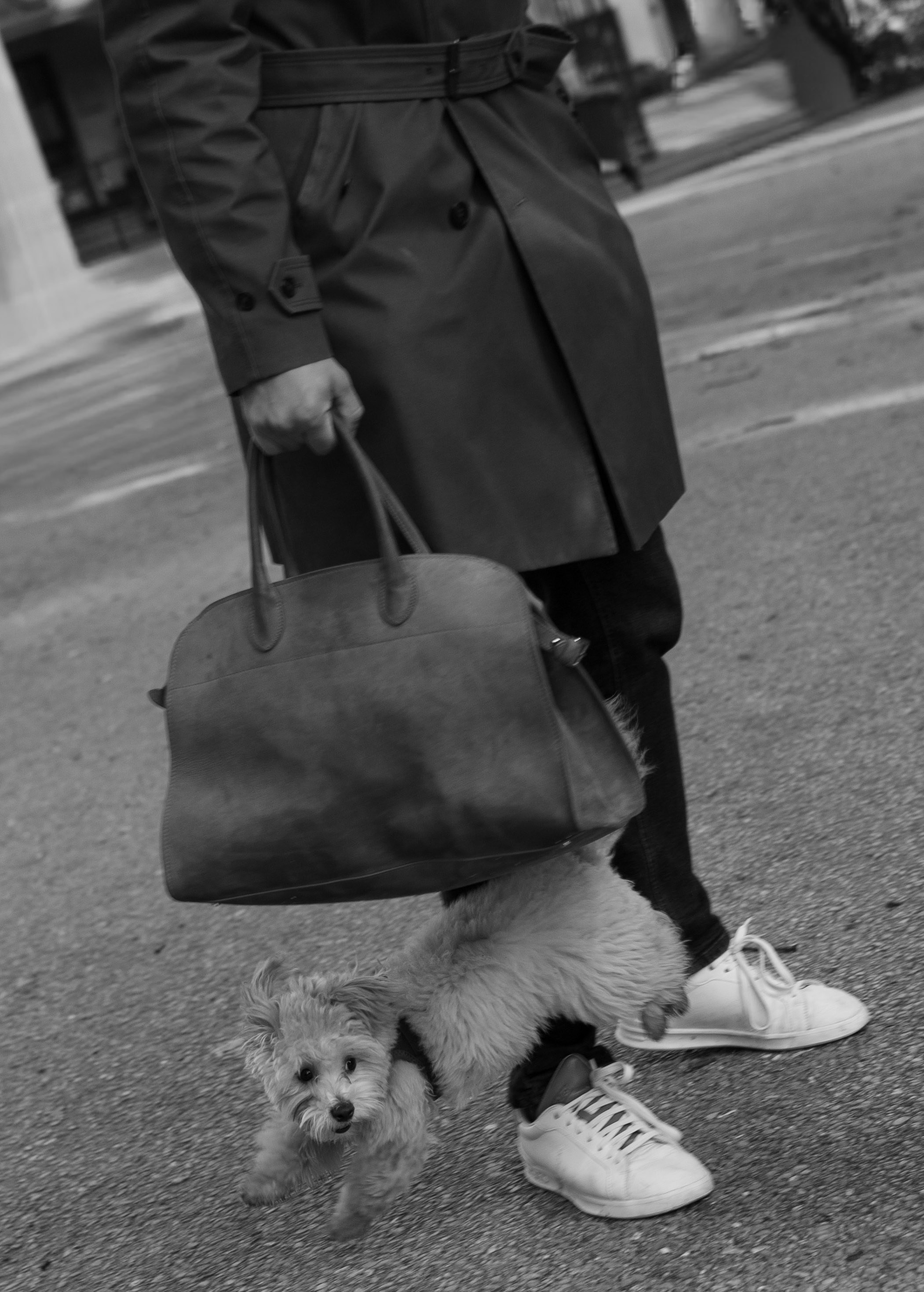 Barney, Nastya et Kolya. Photographe animalier à Paris Anna Pereira