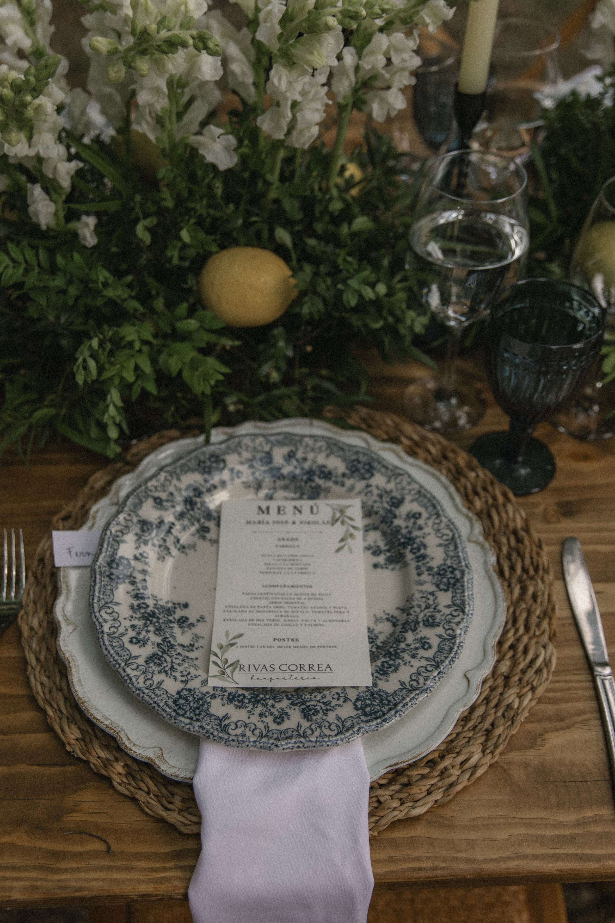 María José & Nikolas. Fotógrafa familiar Santiago y Chile Anna Almazova