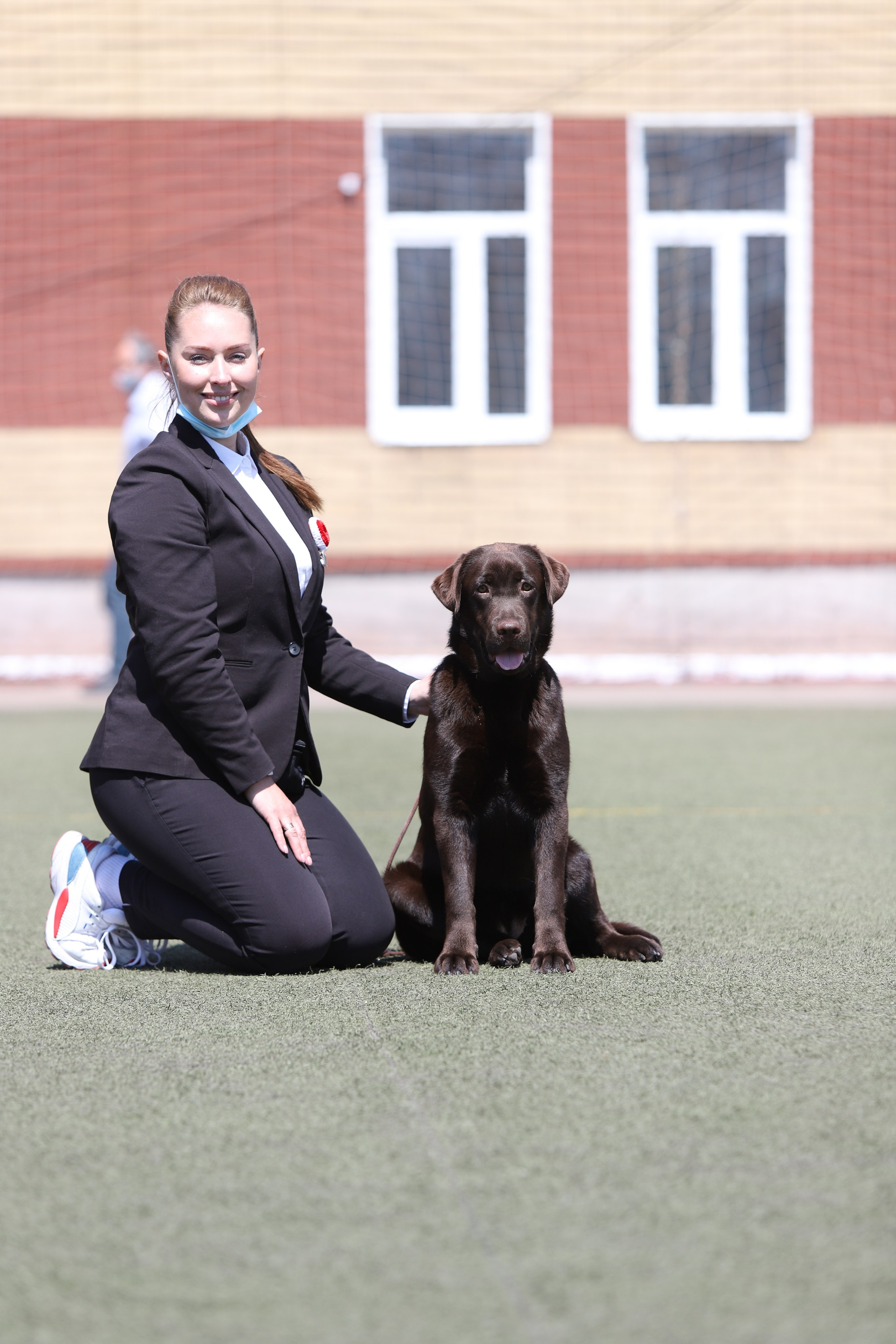 Ruby. Цуценята лабрадор ретривера, Дніпро, Україна