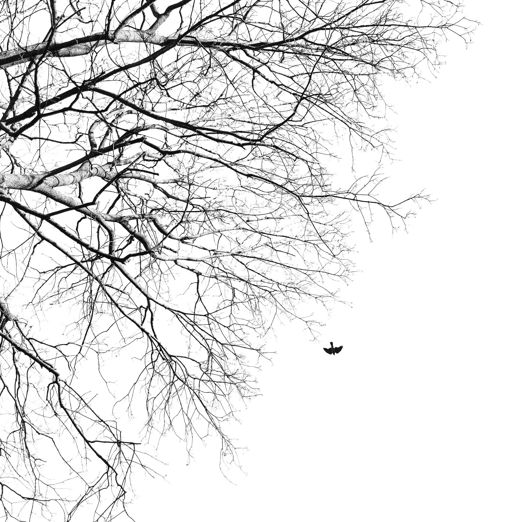 Minimal. Photography by Mircea Maieru