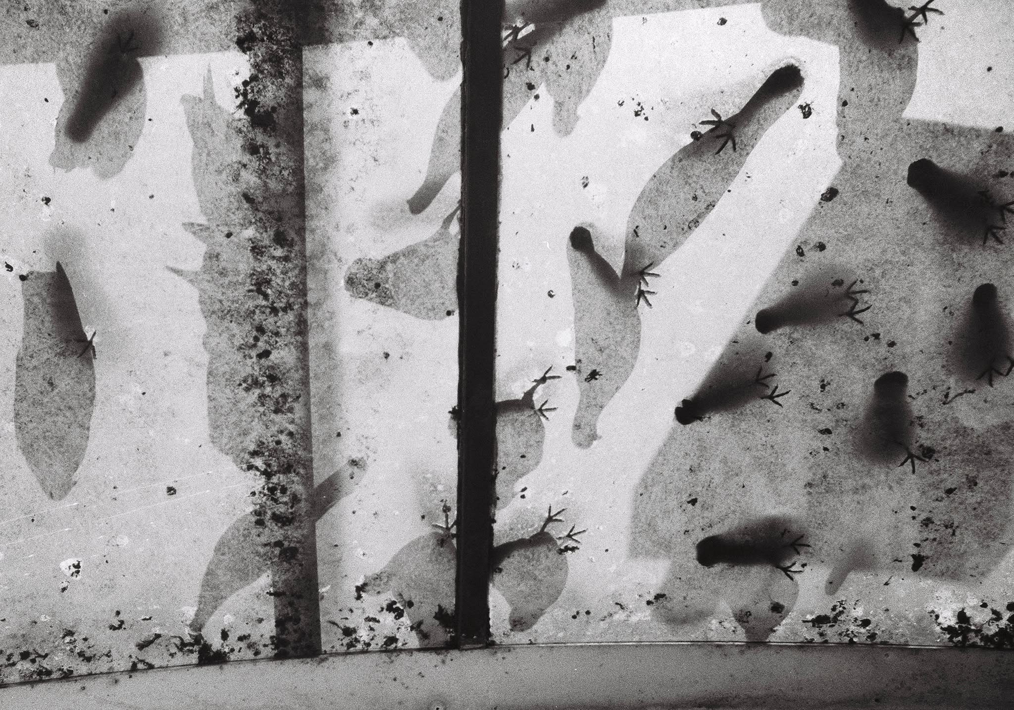 Analog. Photography by Mircea Maieru