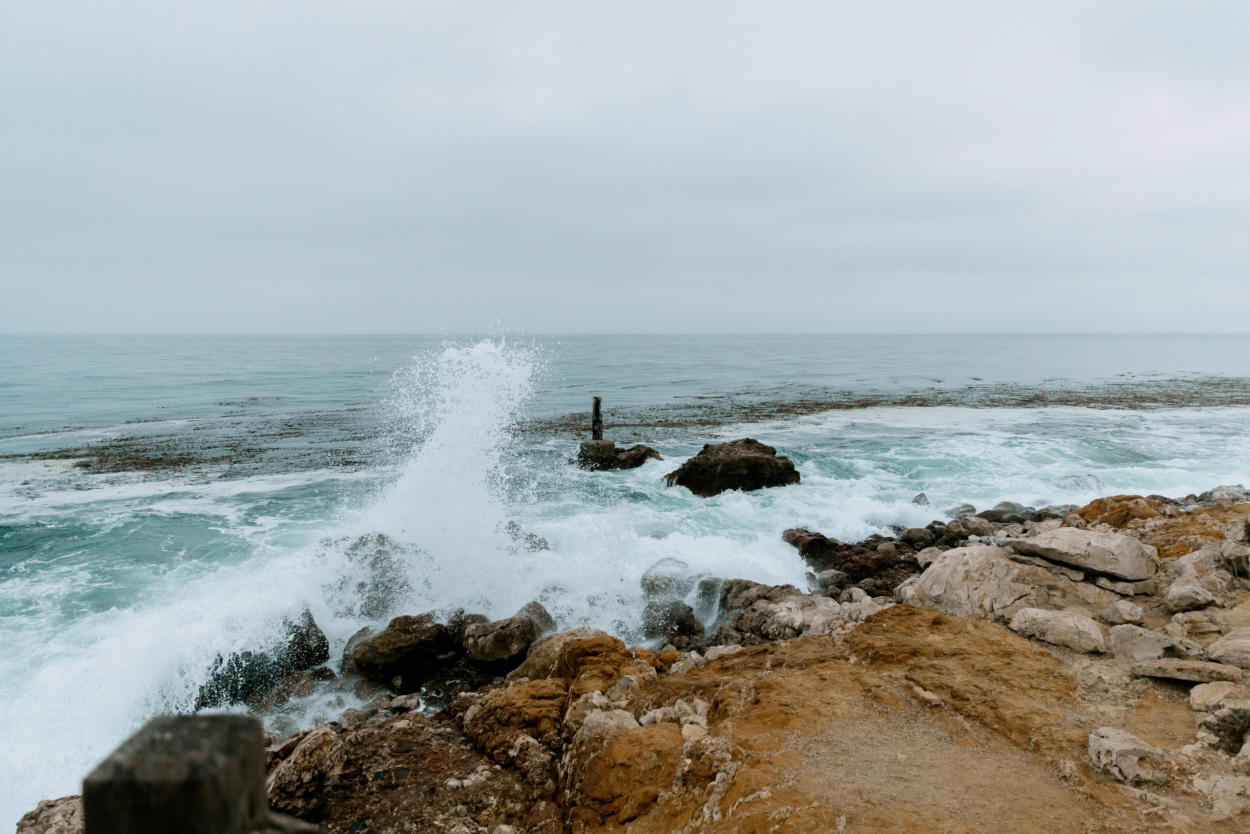 Proposal Photography at Terranea Resort, Los Angeles | Taya Frank. Southern California Family and Couple Photographer