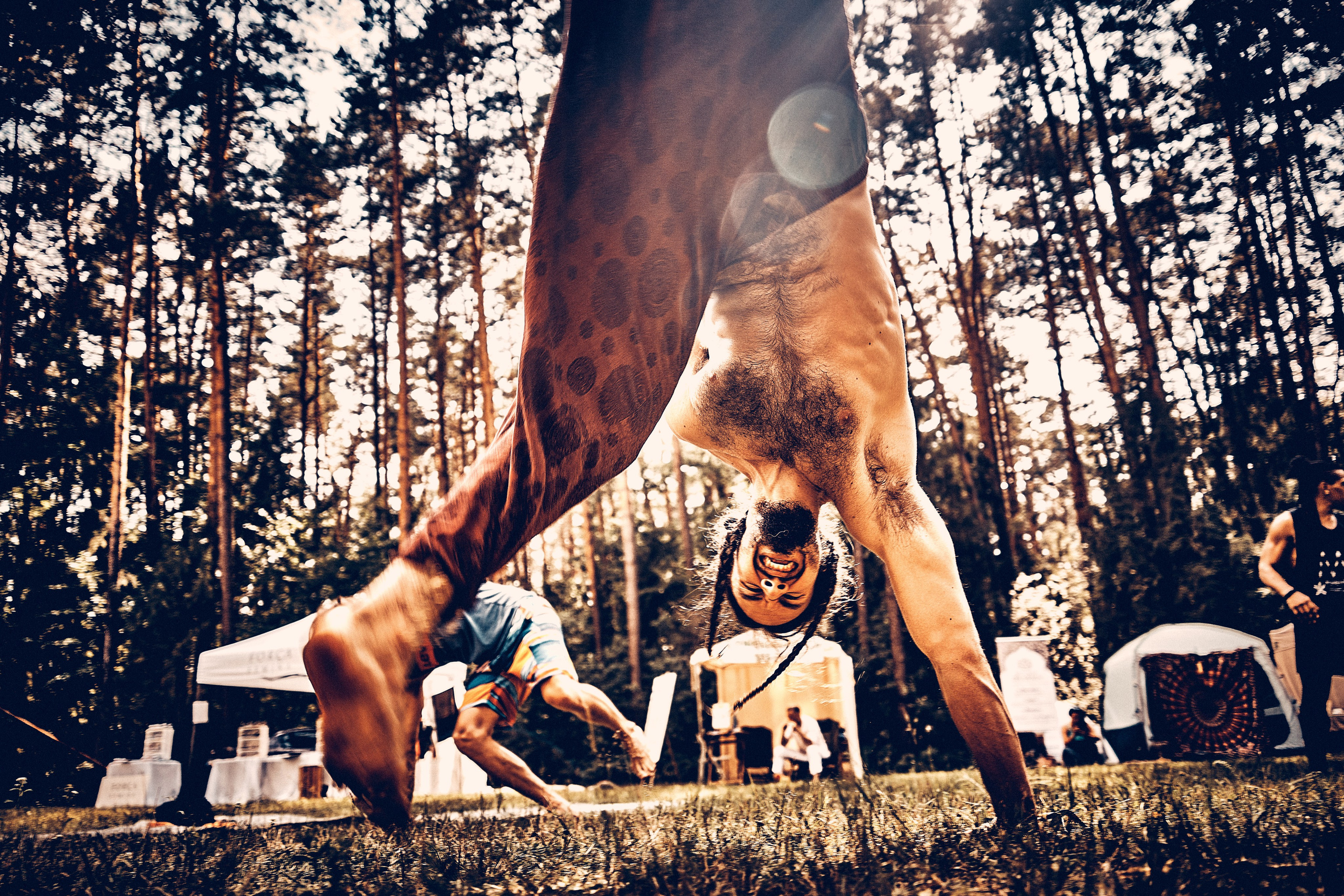 Organic Festival 2024. Андрей Шипилов — Фотография & Видеография
