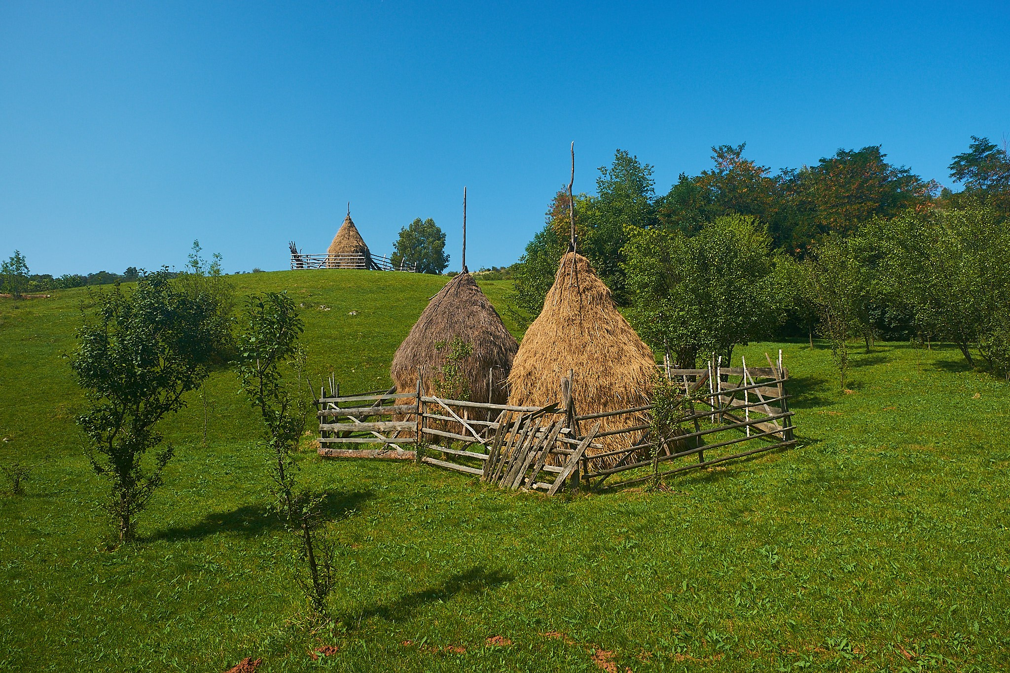 Fundătura Ponorului, jud. Humedoara. Pagina principală
