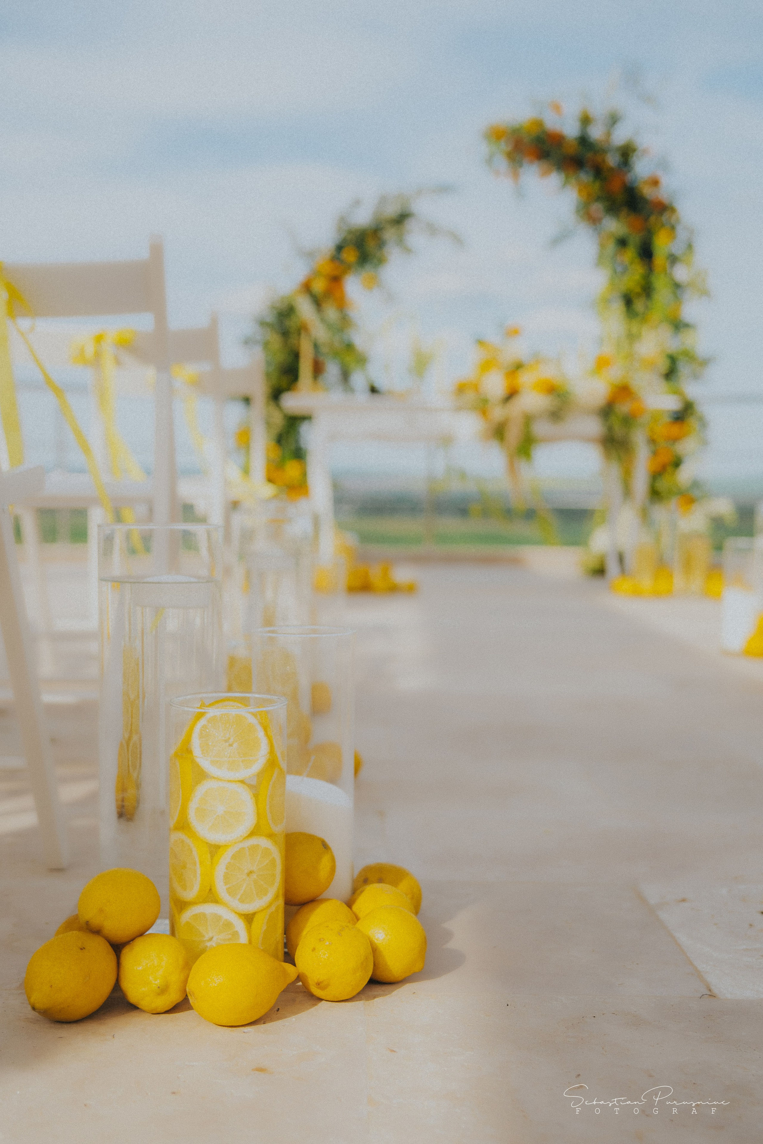 Love & Lemons. Sebastian Purusniuc Fotograf - Iasi