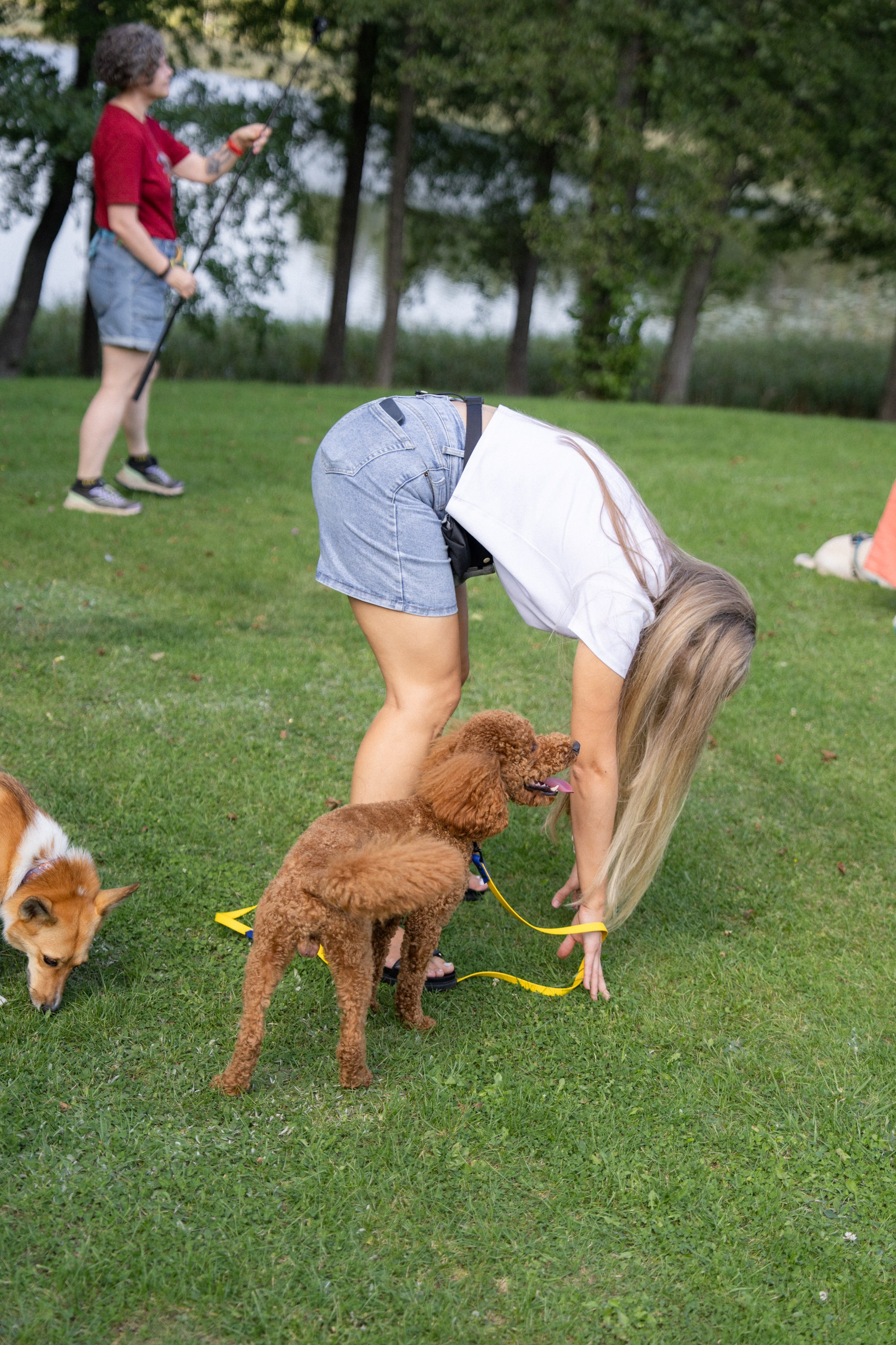 Heppi Dogo fest 2025. Vita Klimaševska ○ Fluffy Soulmate Photography