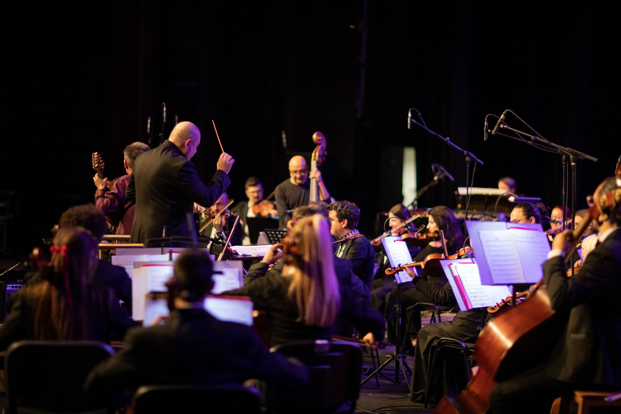 Найджъл Кенеди и Георги Андреев — репетиция и концерт в София, 13.02.2025. Александър Сандев - website