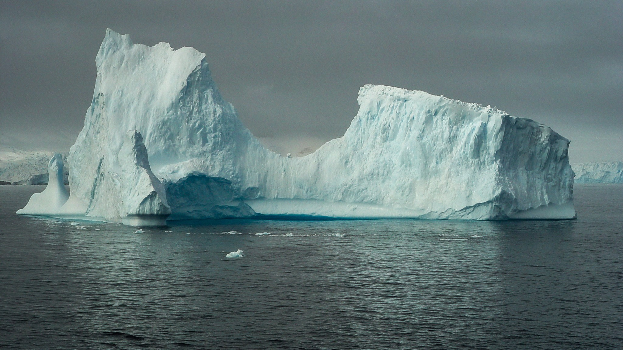 ANTARCTICA / 2004. Reportage concert portrait photography in the San Francisco Bay Area