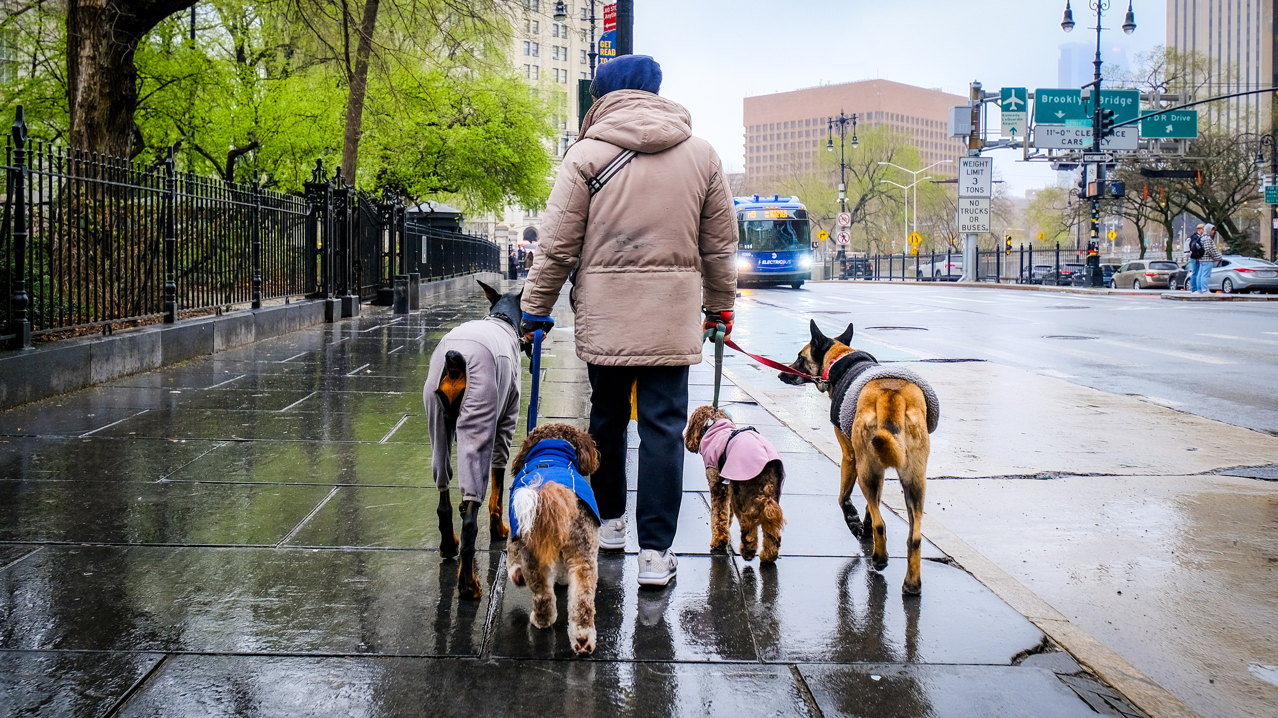 NEW YORK / 2025. Reportage concert portrait photography in the San Francisco Bay Area