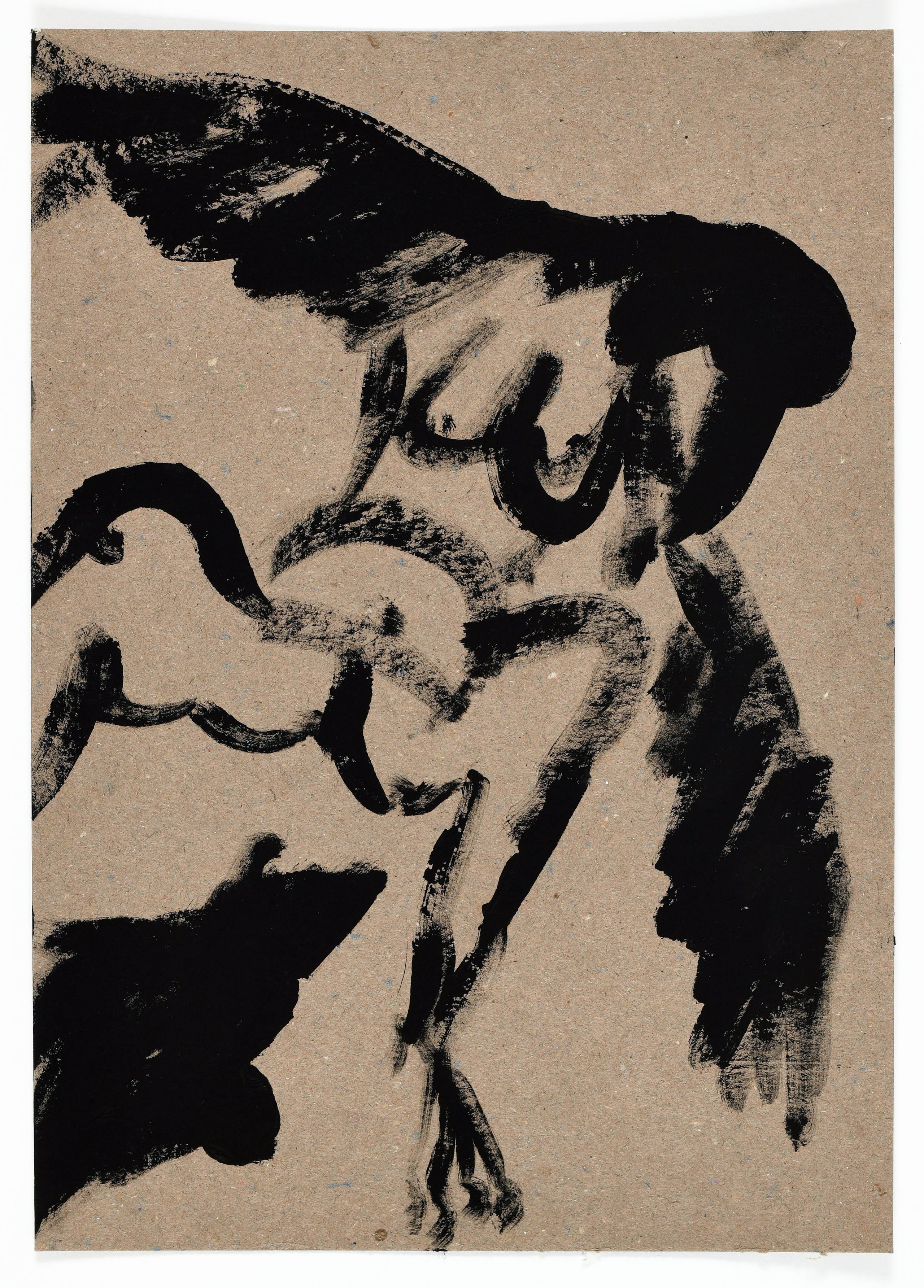 Birds and rats, 2020. Haim Sokol’s artists website