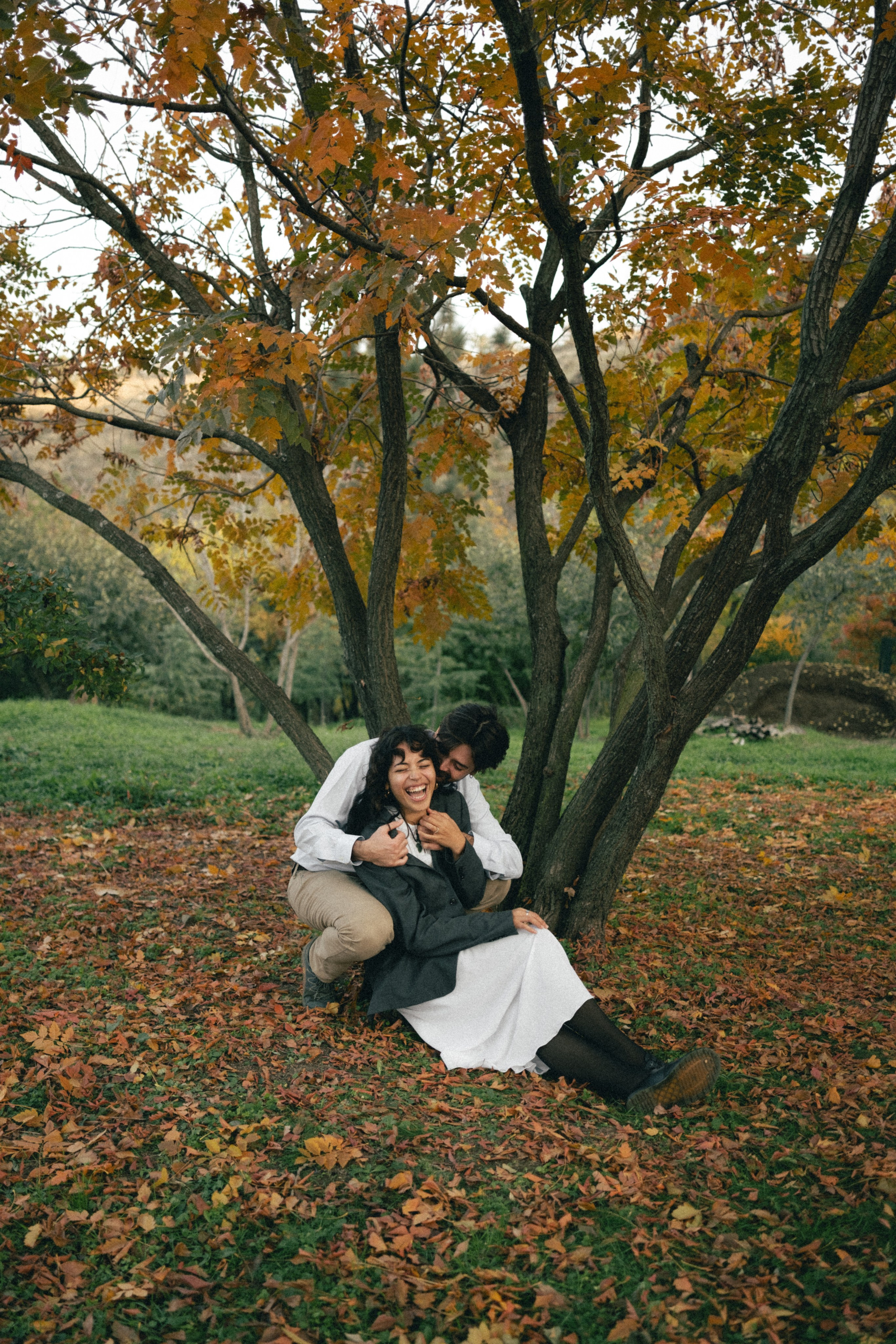 Botanical garden | Alessandro & Johanna. Главная
