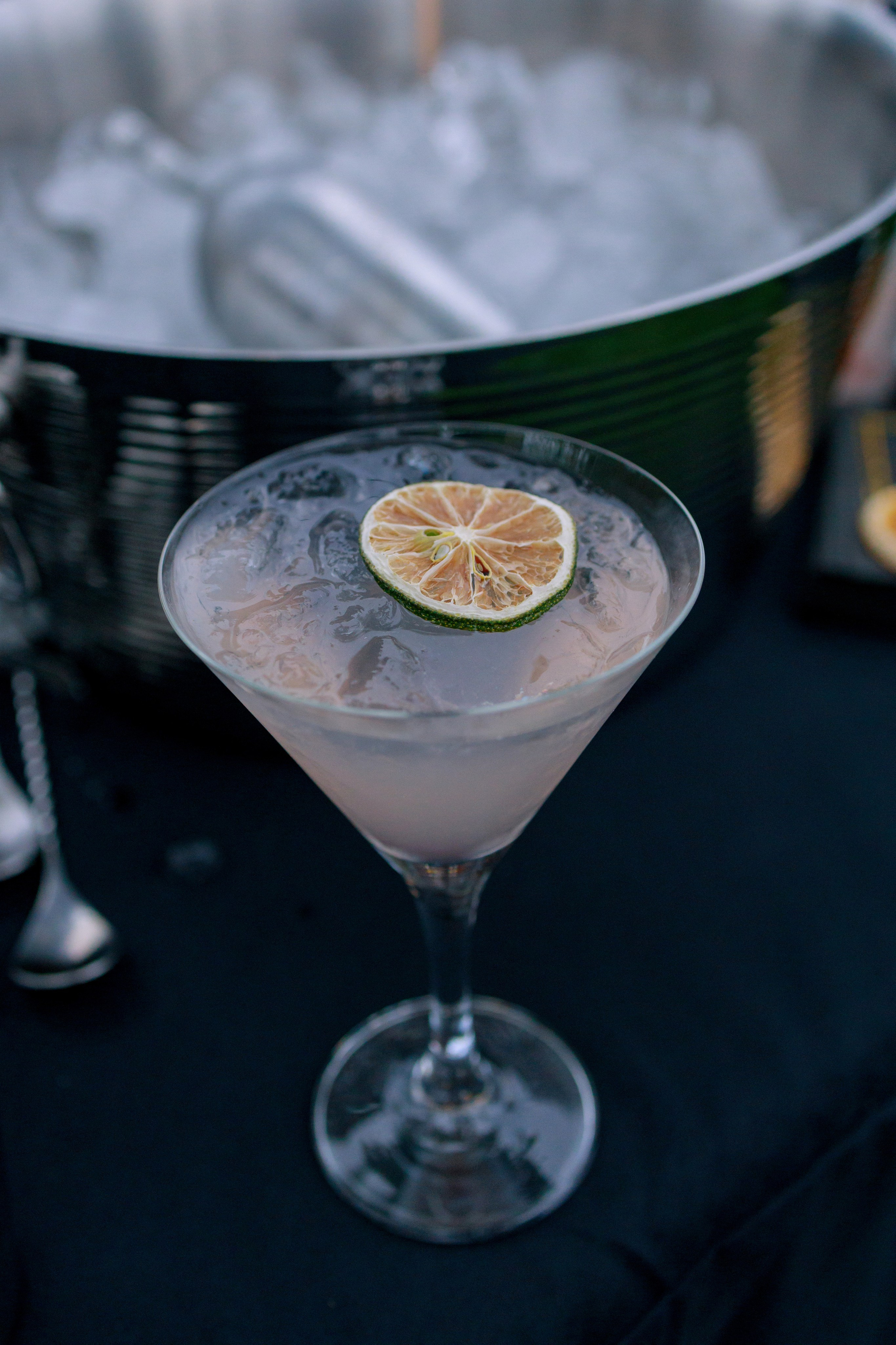 Evening event. Family and Event photographer in Bay Area Elena Tiuriumina