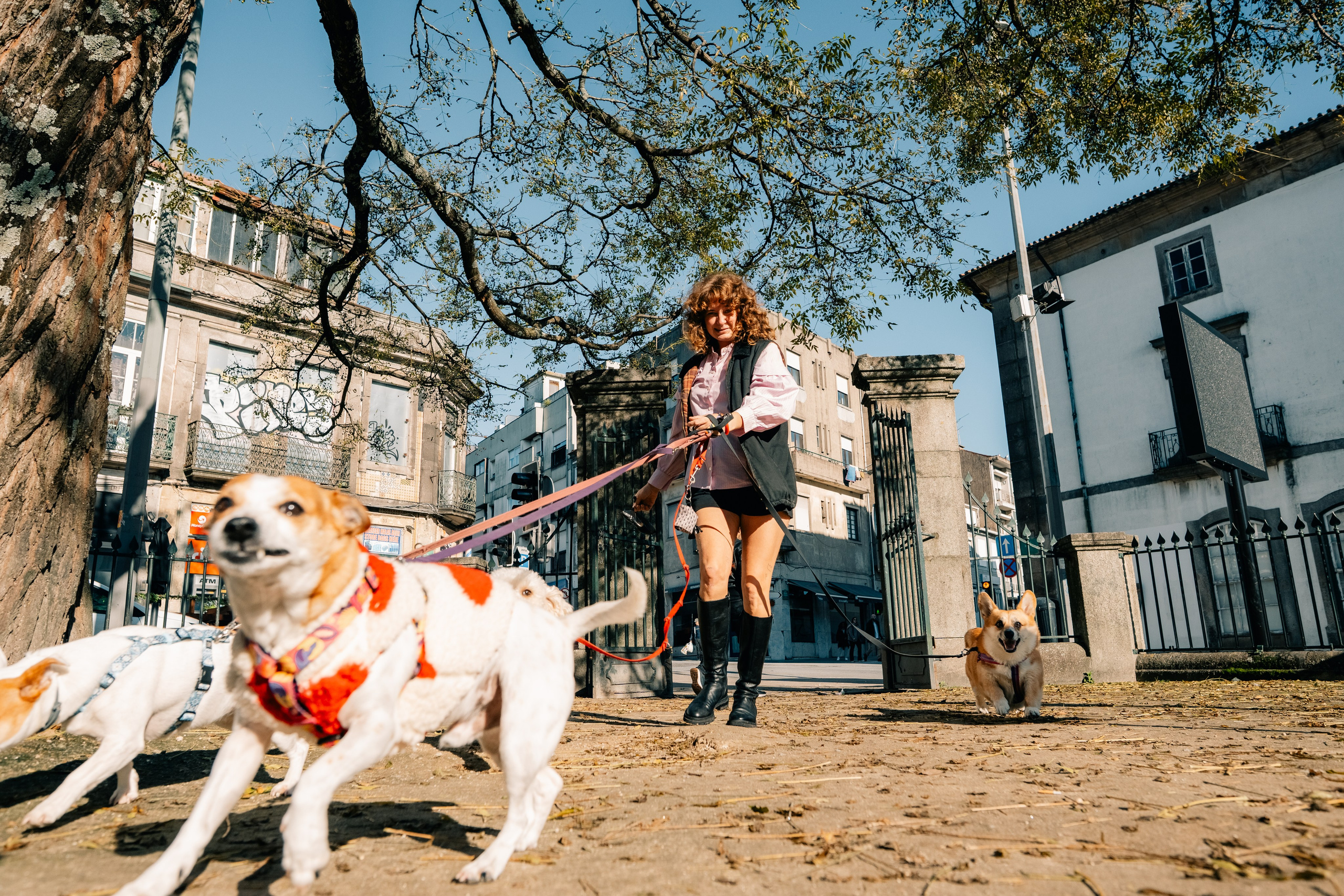 Yana & Doggos in Bonfim. Maria Sher. Professional photographer from Porto, Portugal