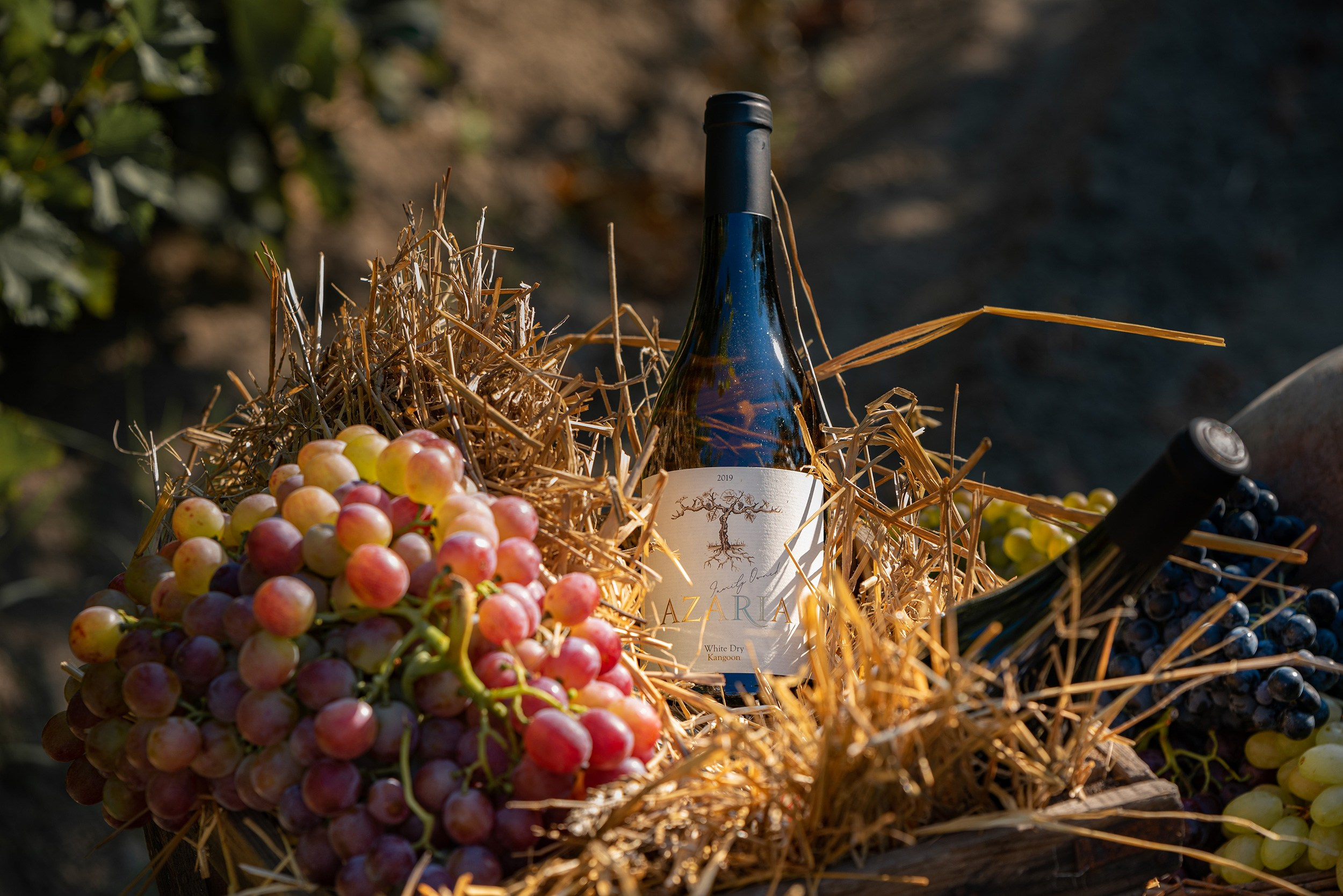 Azaria Winery. Фотограф в Ереване