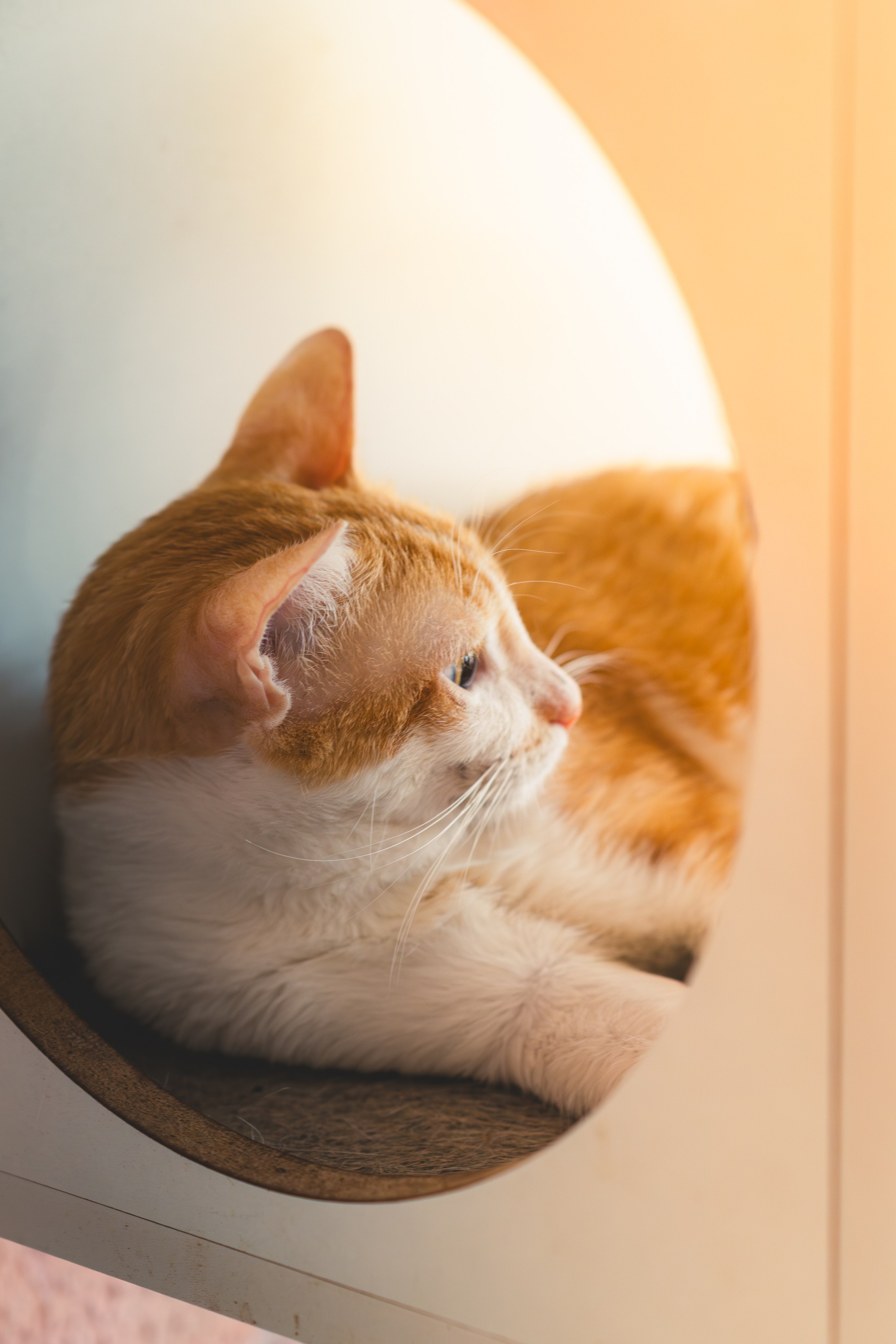 Portfólio Fotografia. Empresa de AudioVisual