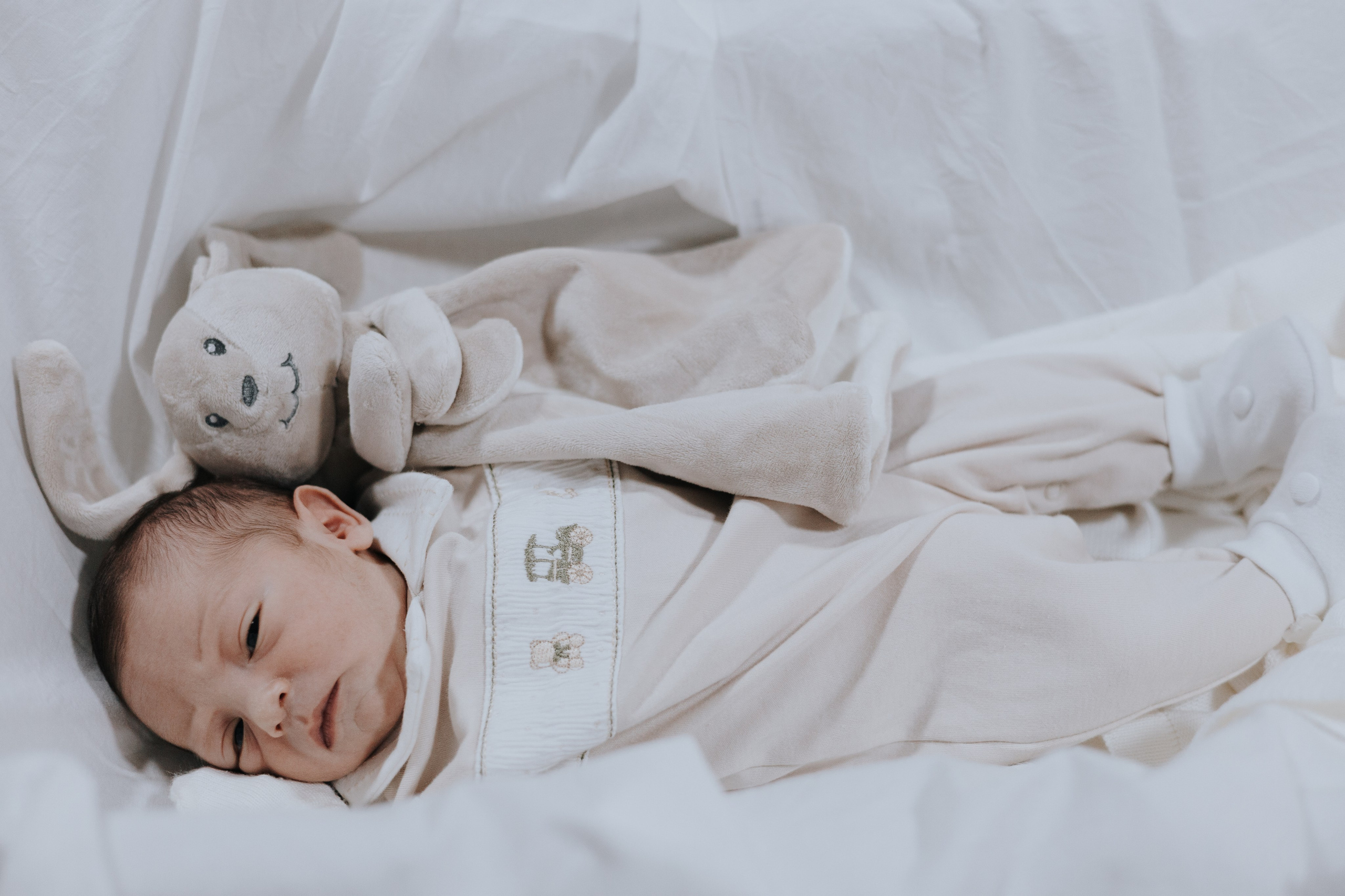 Bem vindo Arthur. Salvy fotografia