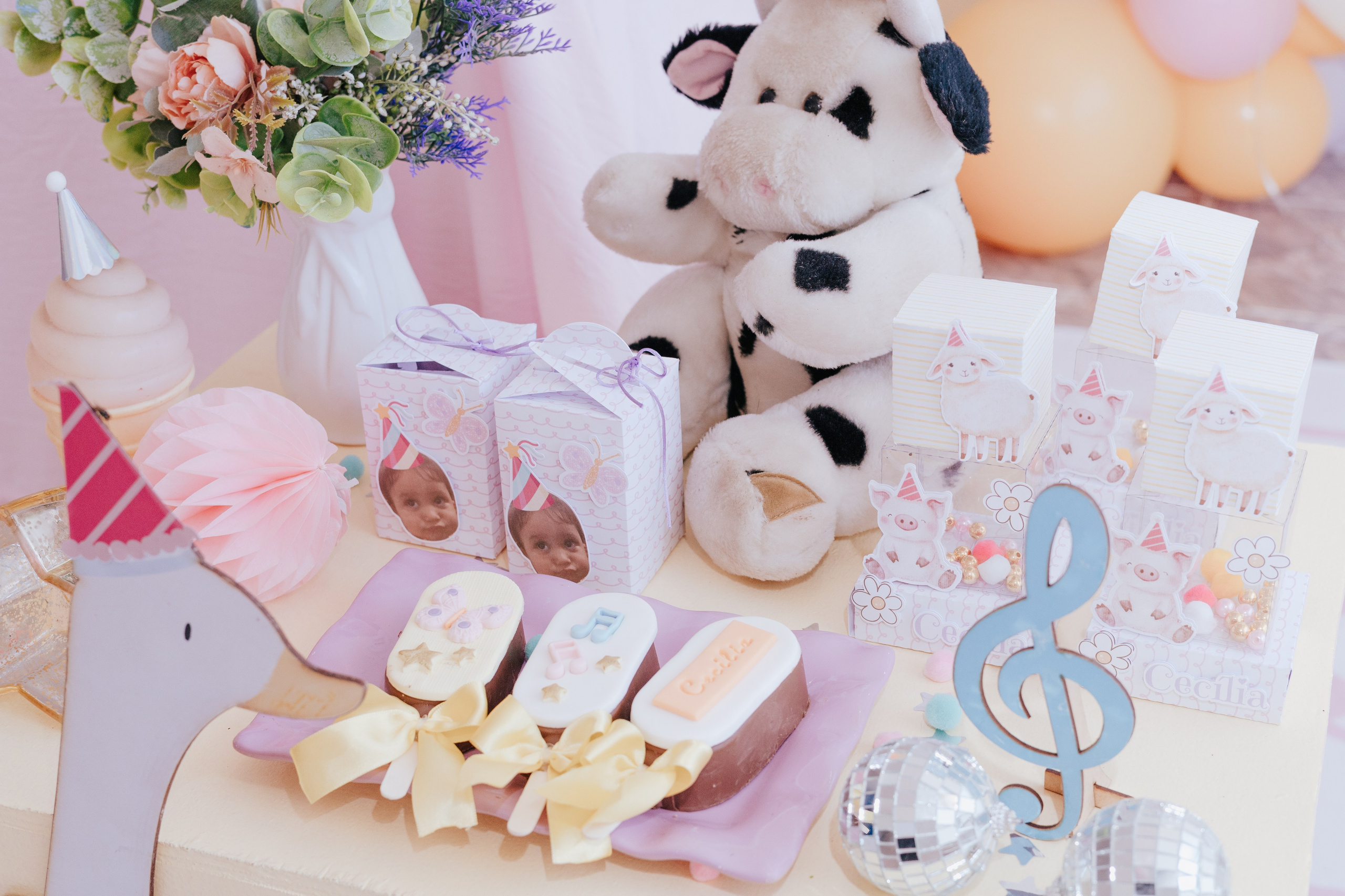 Cecília 2 anos. Fotografia de família e parto