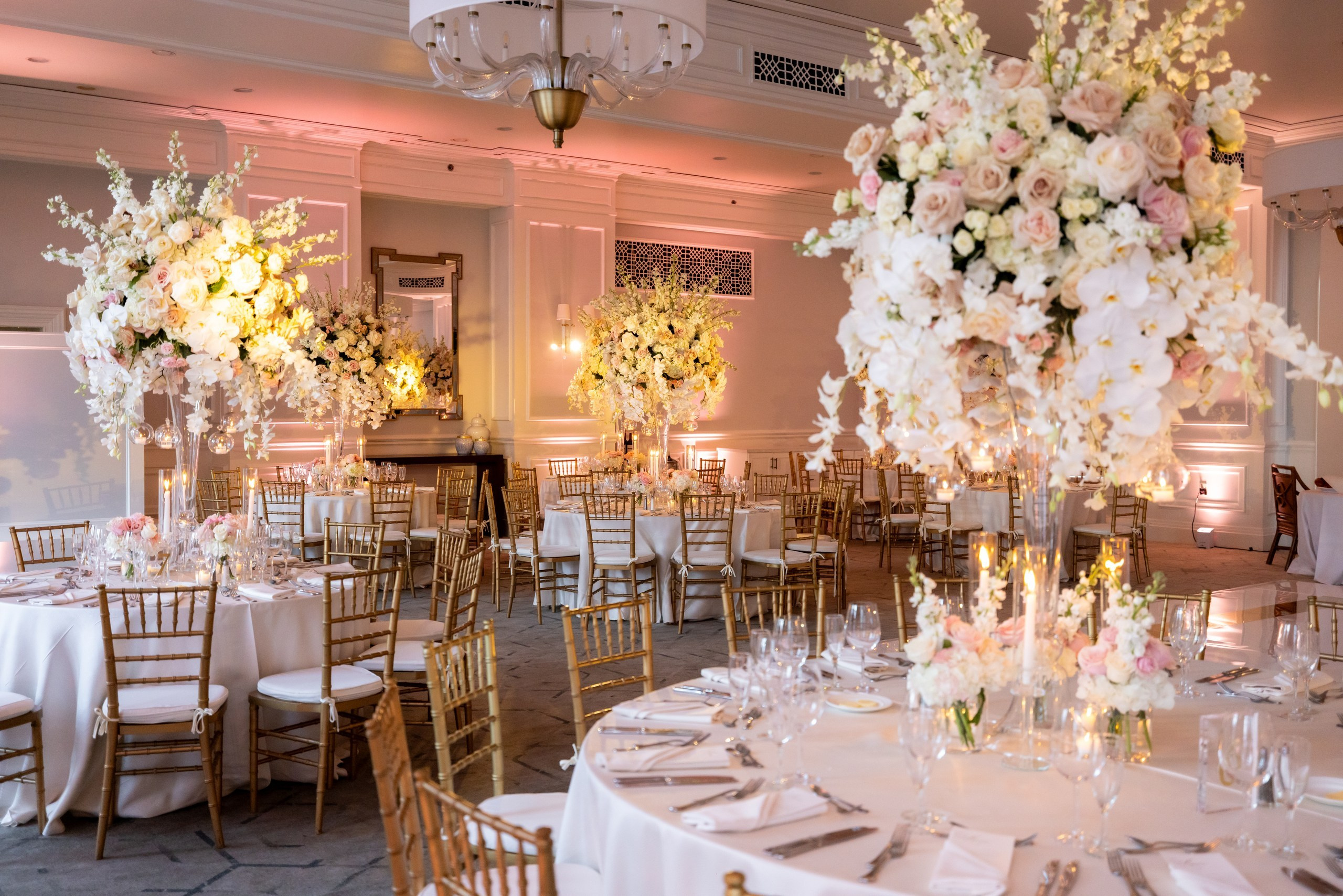 Chase & Alexander. Wedding Photo & Video