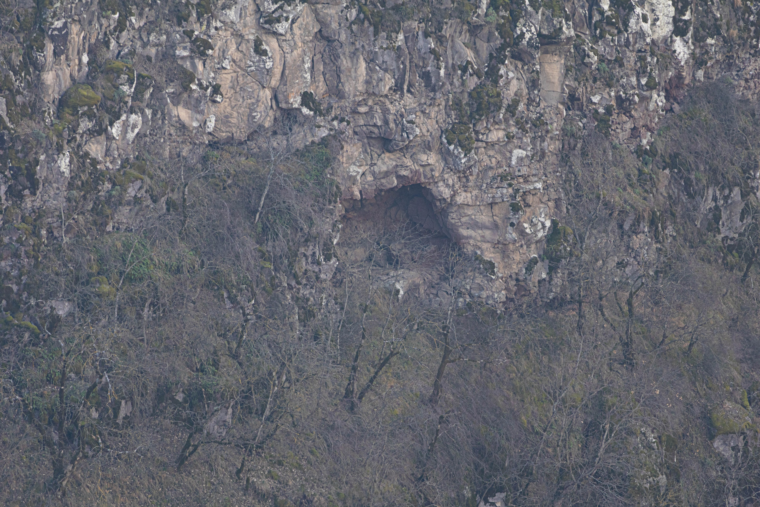 სამშვილდე. FramefreeMan